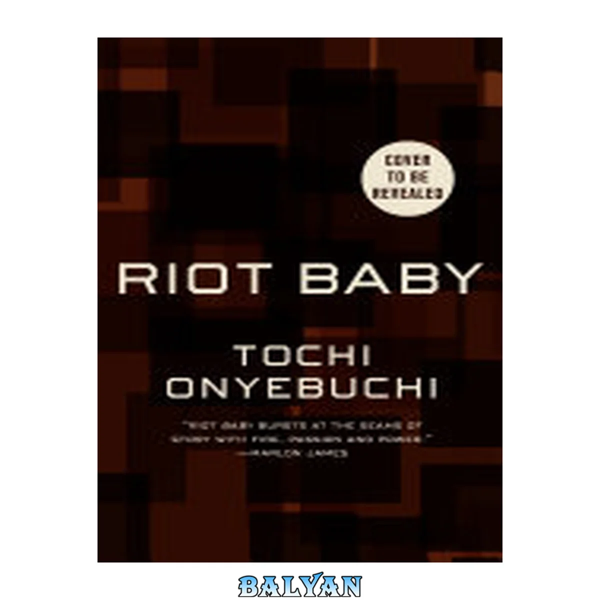 جلد کتاب Riot Baby