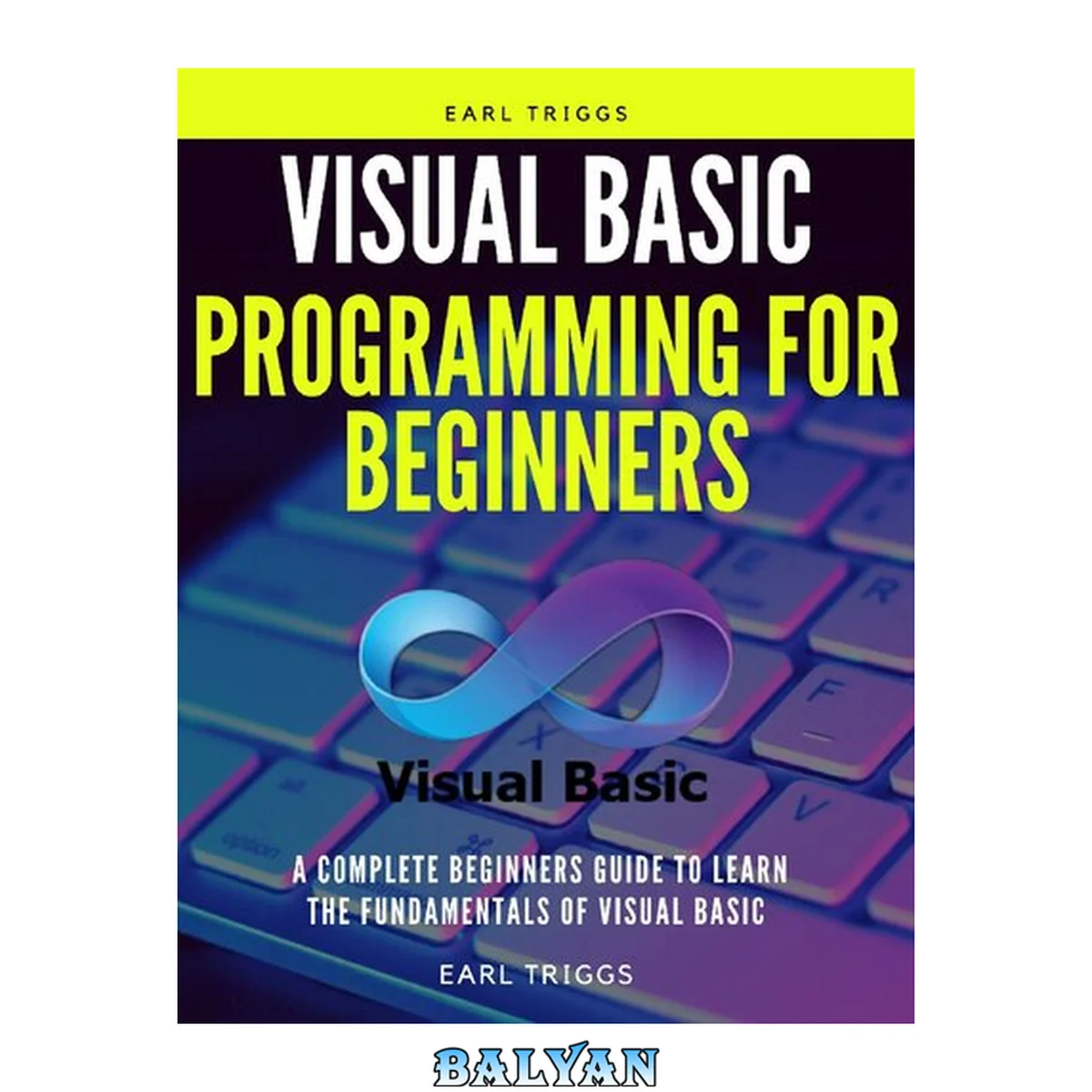 جلد کتاب Visuaʟ basic programming for beginners