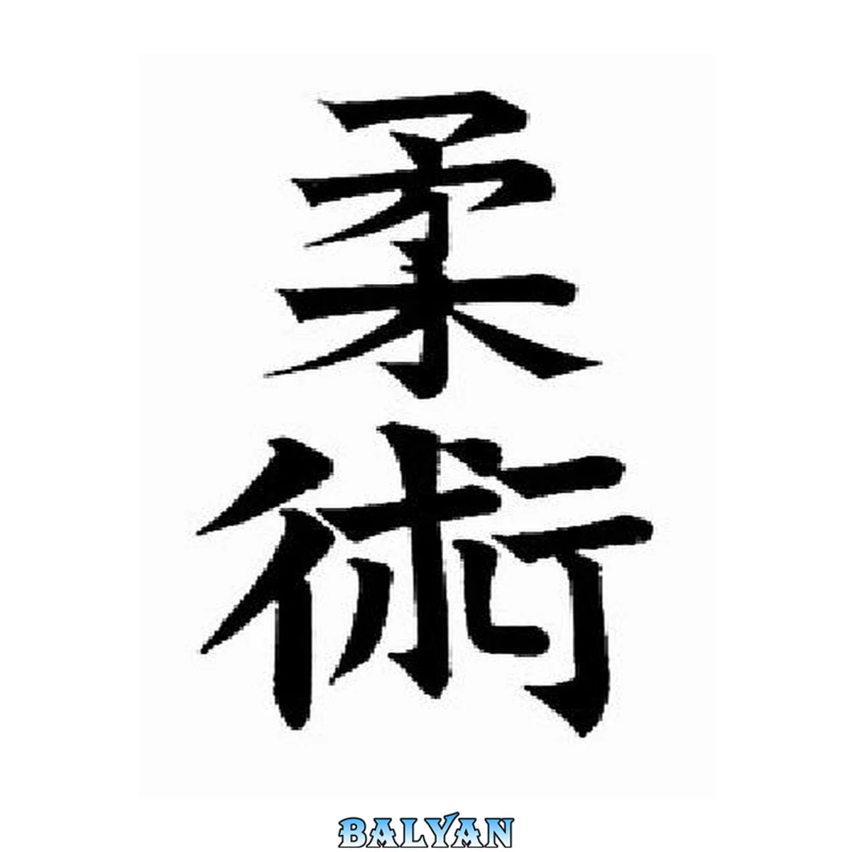 جلد کتاب The Secrets of Jujitsu. A Complete Course in Self Defense, Stahara