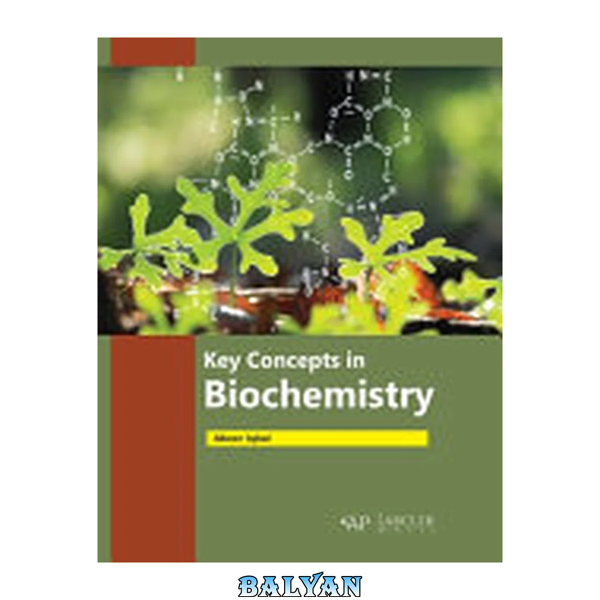 جلد کتاب Key Concepts in Biochemistry