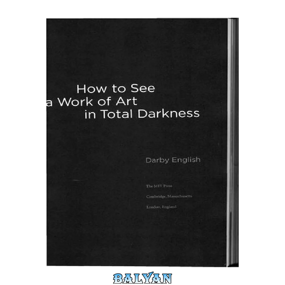 جلد کتاب How to See a Work of Art in Total Darkness (The MIT Press)