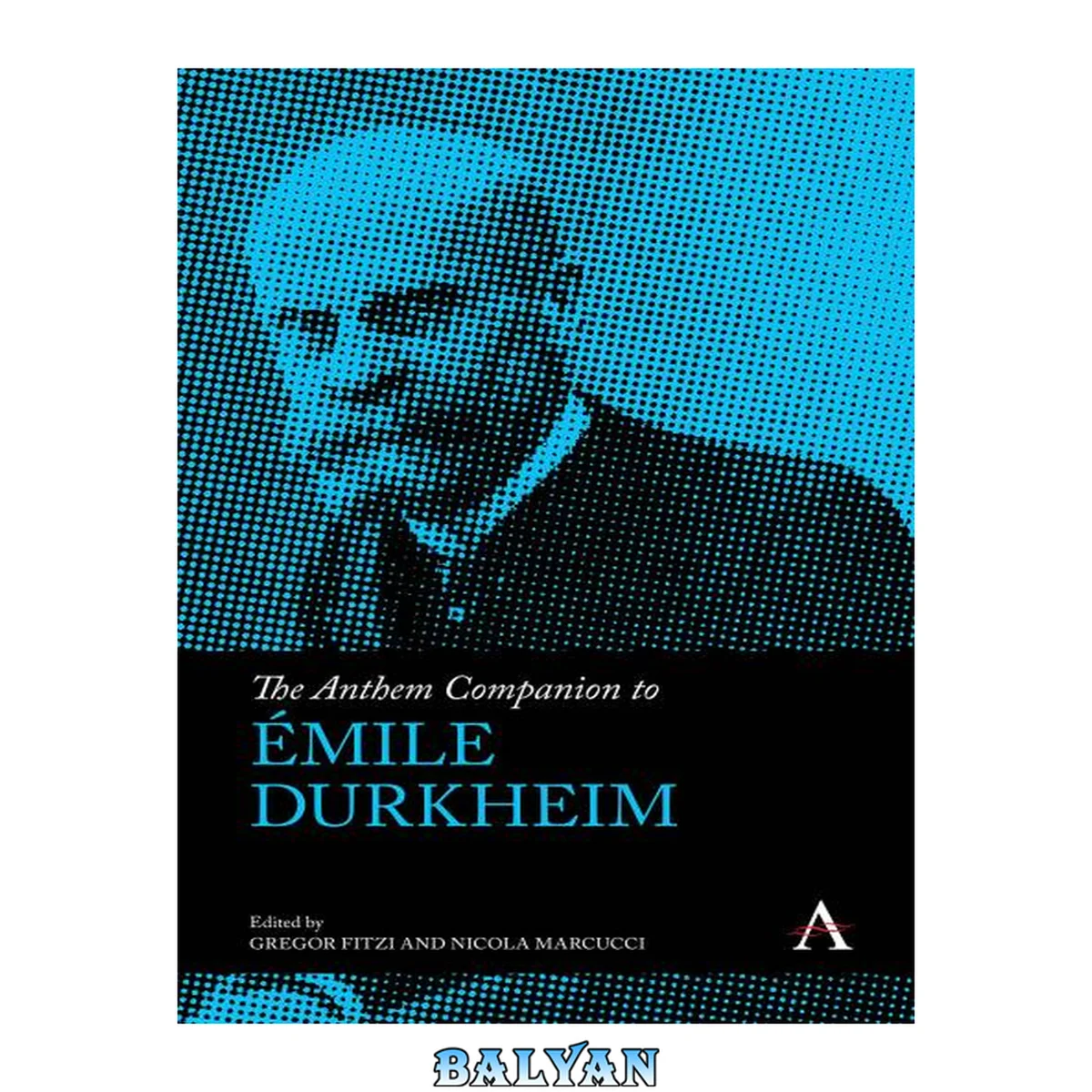 جلد کتاب The Anthem Companion to Émile Durkheim (Anthem Companions to Sociology)