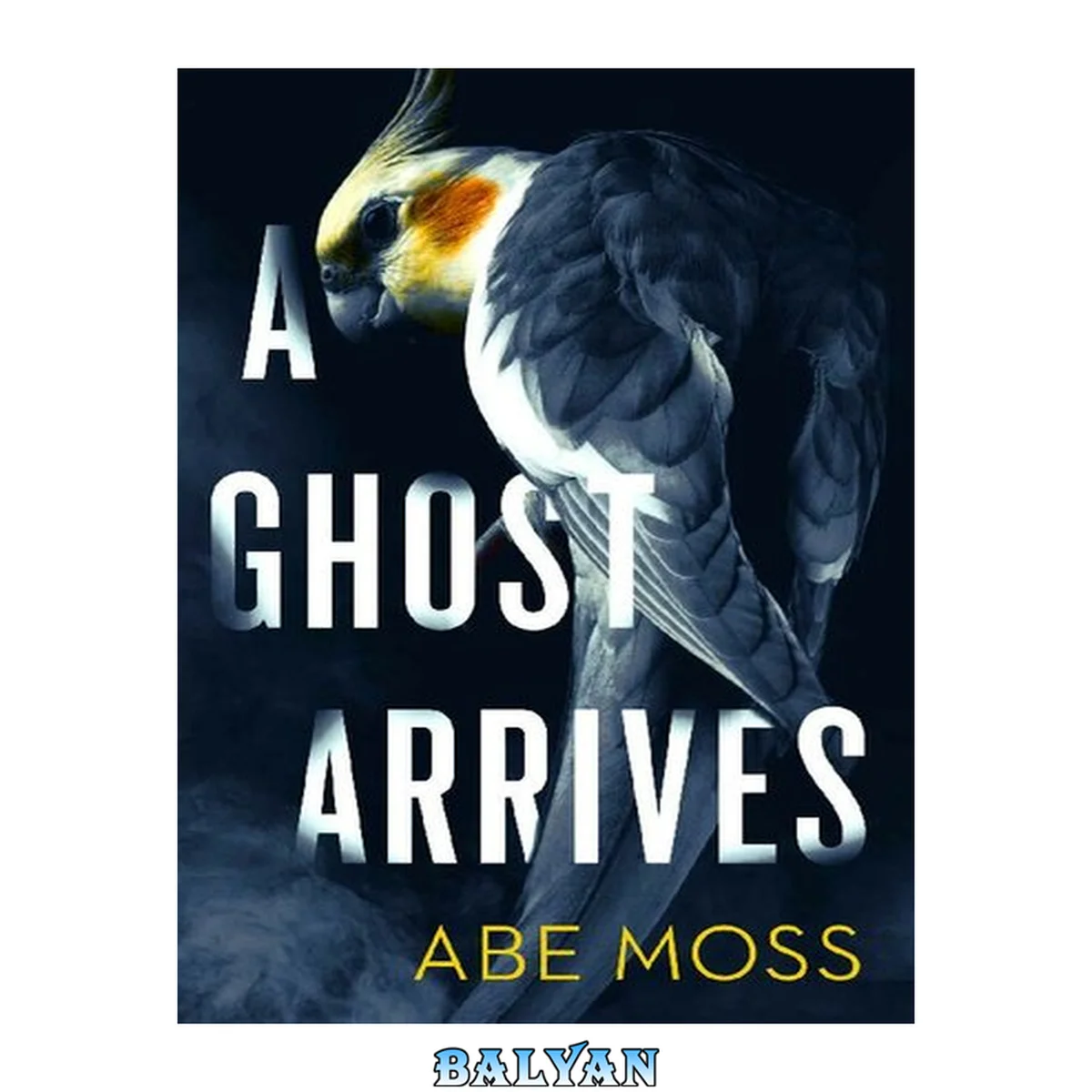 جلد کتاب A Ghost Arrives