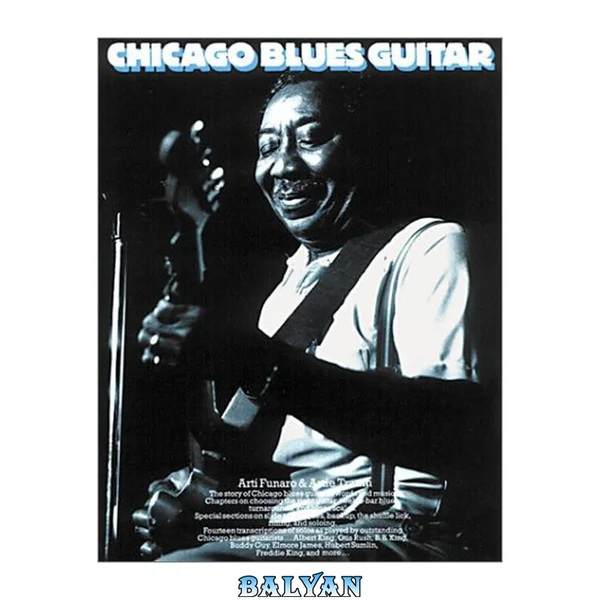 Chicago Blues Guitar (Guitar Books)