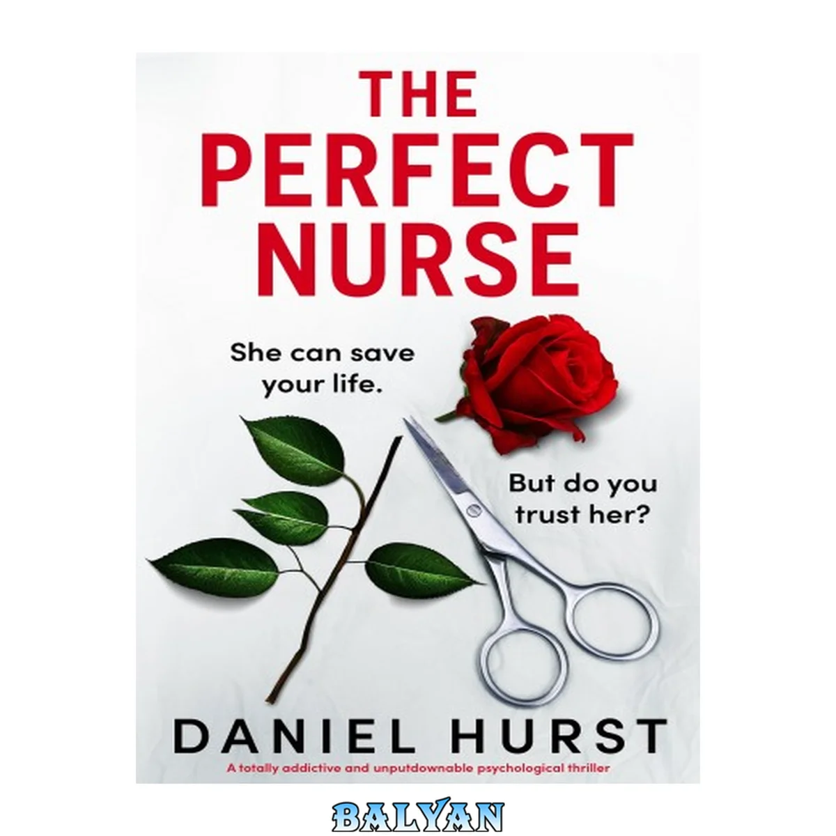 جلد کتاب The Perfect Nurse