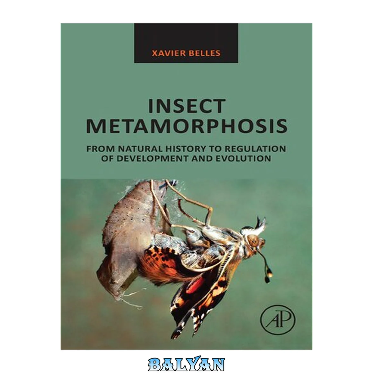 جلد کتاب Insect Metamorphosis : From Natural History to Regulation of Development and Evolution