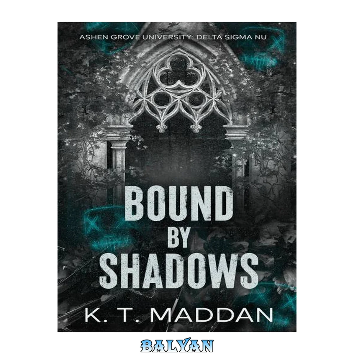 جلد کتاب Bound By Shadows: Delta Sigma Nu Book One (Ashen Grove University 3)
