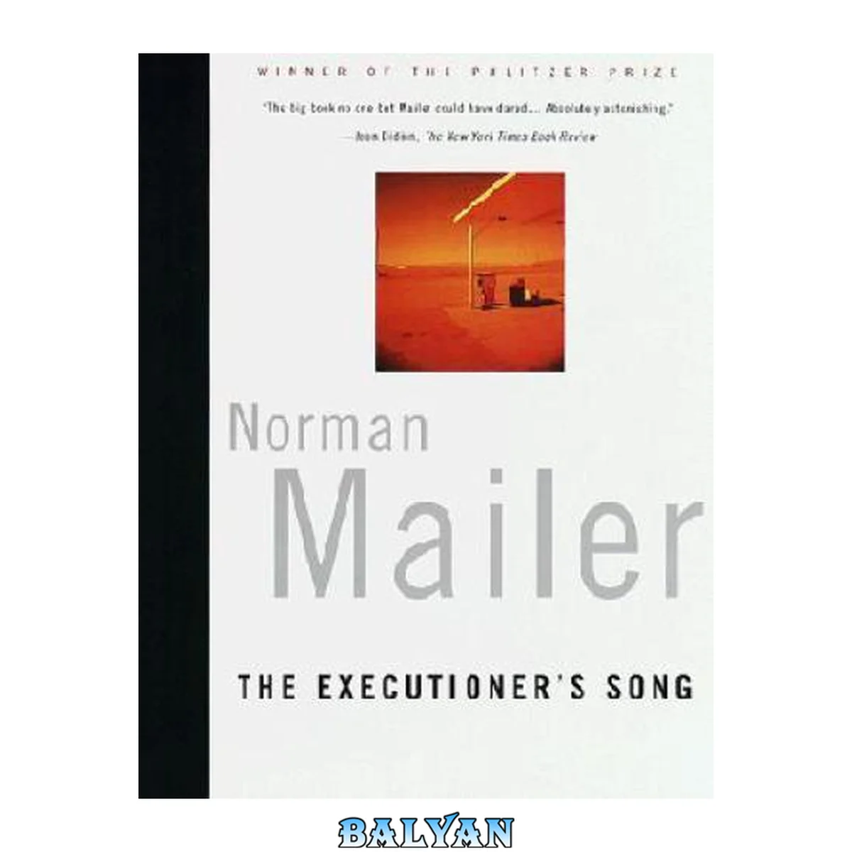 جلد کتاب The Executioner's Song