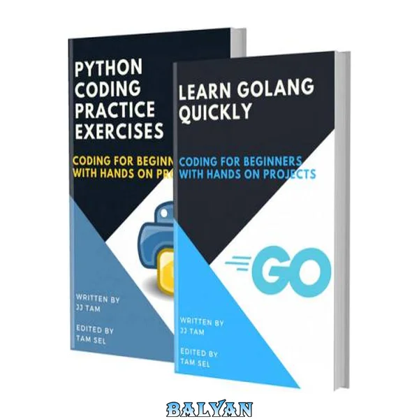 LEARN GOLANG QUICKLY AND PYTHON CODING PRACTICE EXERCISES: Coding For Beginners