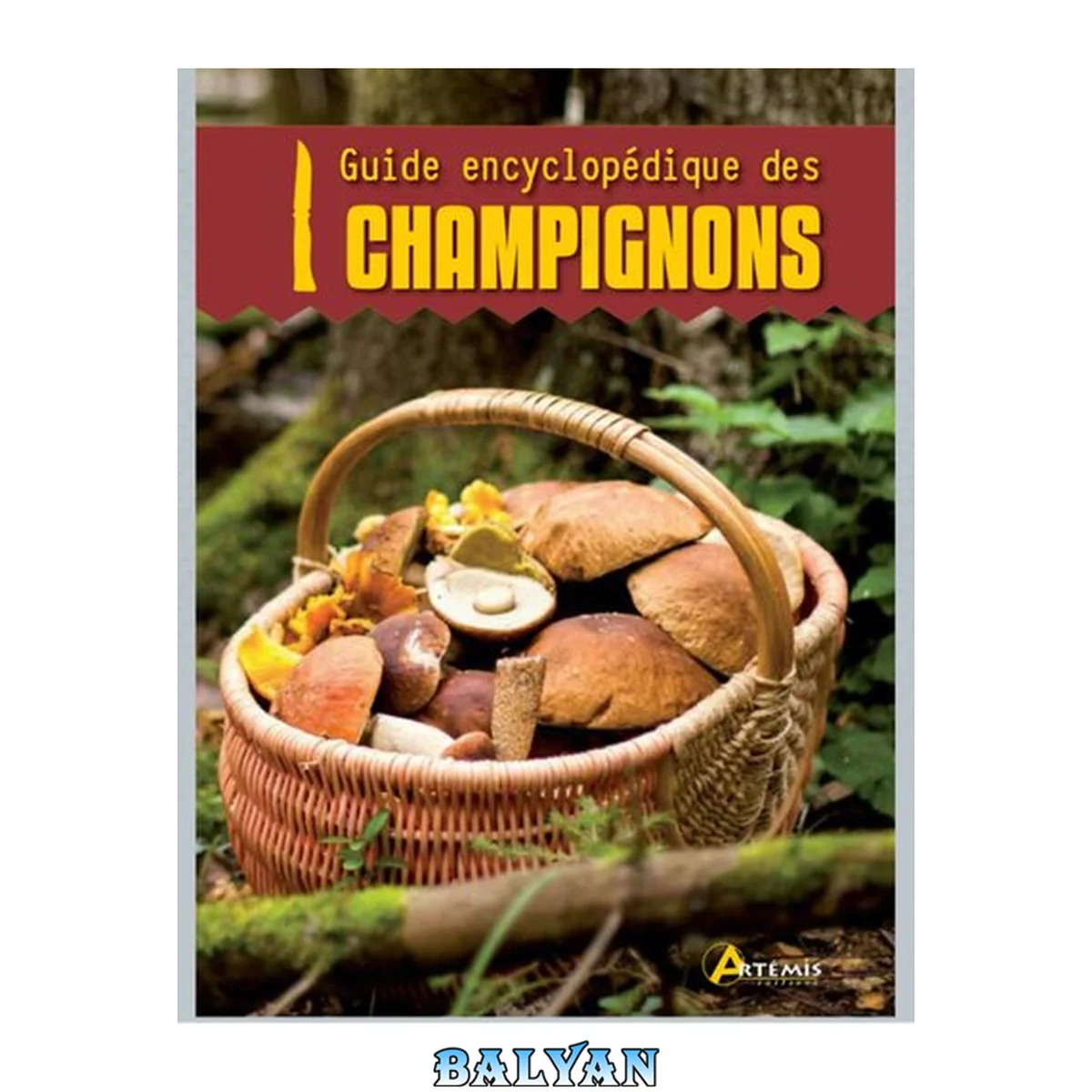 جلد کتاب Guide encyclopédique des champignons