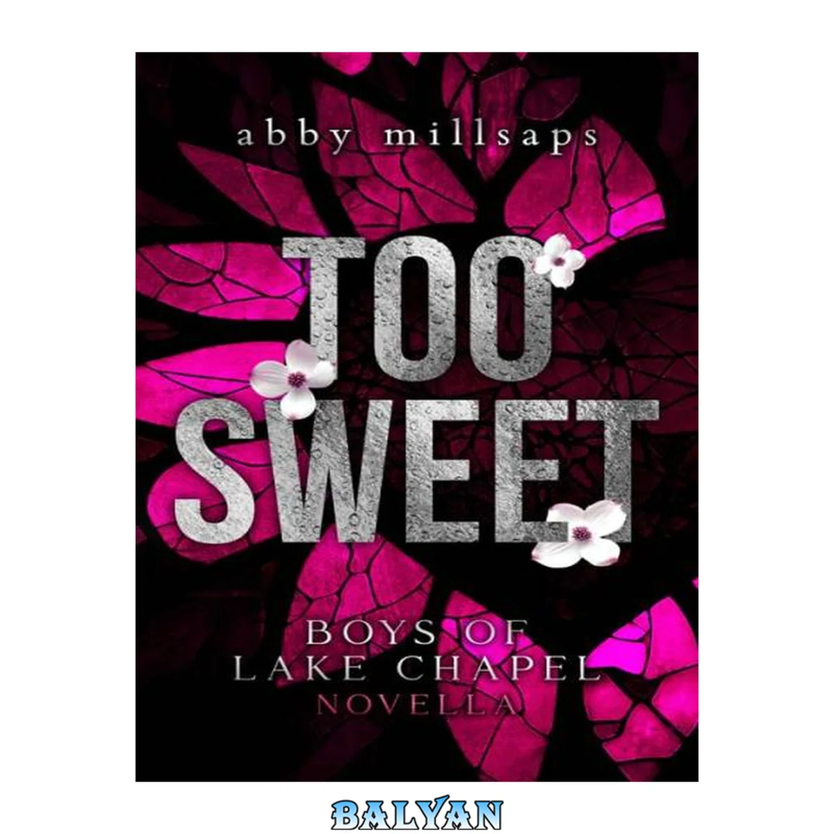 جلد کتاب Too Sweet: A Boys of Lake Chapel Novella