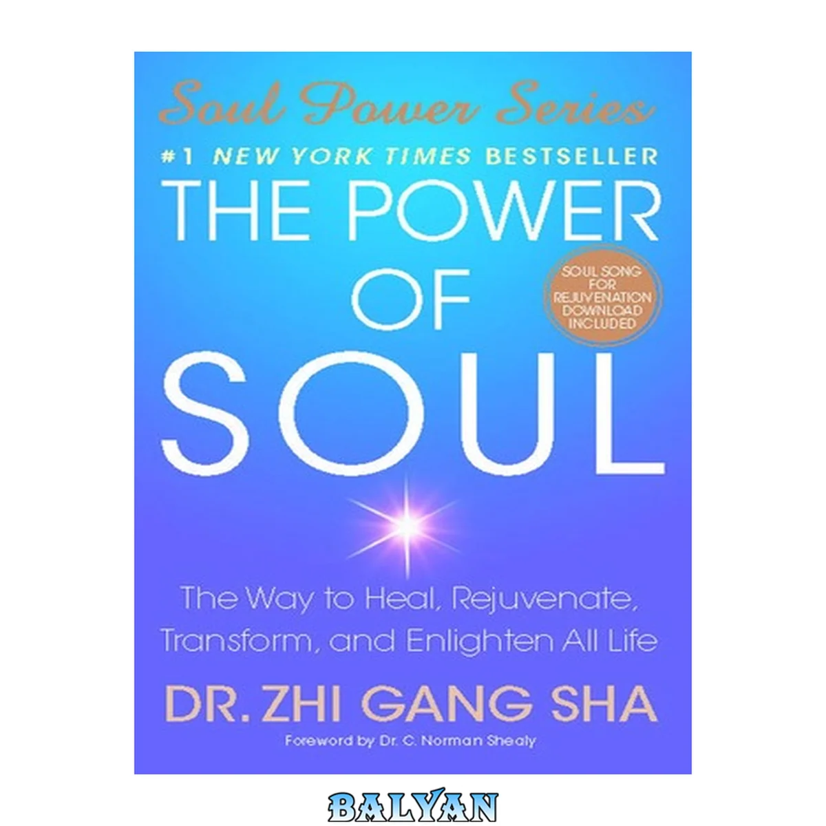 جلد کتاب The Power of Soul: The Way to Heal, Rejuvenate, Transform, and Enlighten All Life (Soul Power)