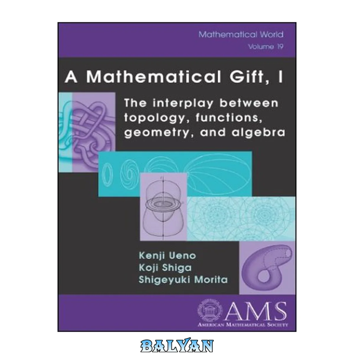 جلد کتاب A Mathematical Gift, 1: The Interplay Between Topology, Functions, Geometry, and Algebra (Mathematical World) (v. 1)