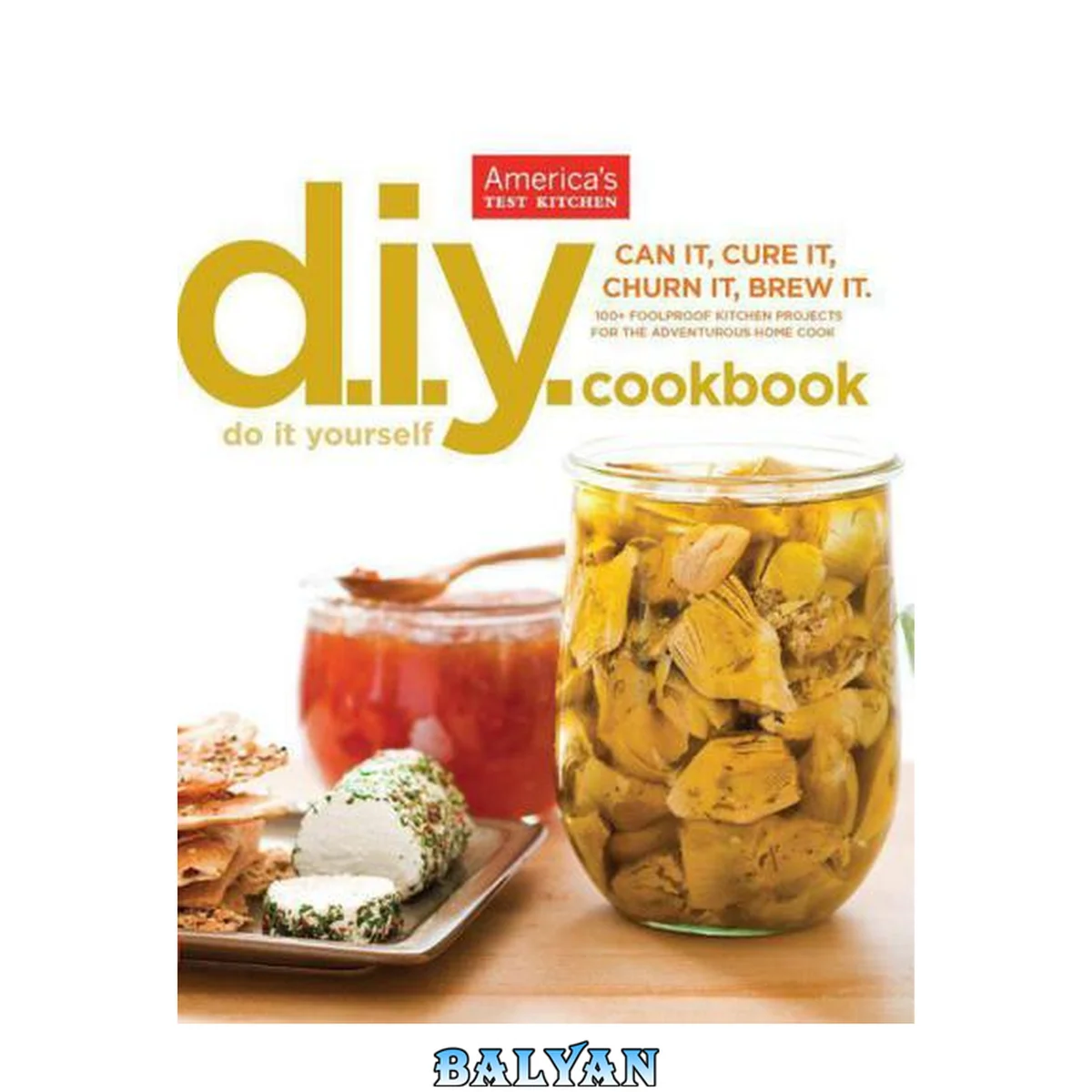 جلد کتاب The America's test kitchen do-it-yourself cookbook : 100+ foolproof kitchen projects for the adventurous home cook