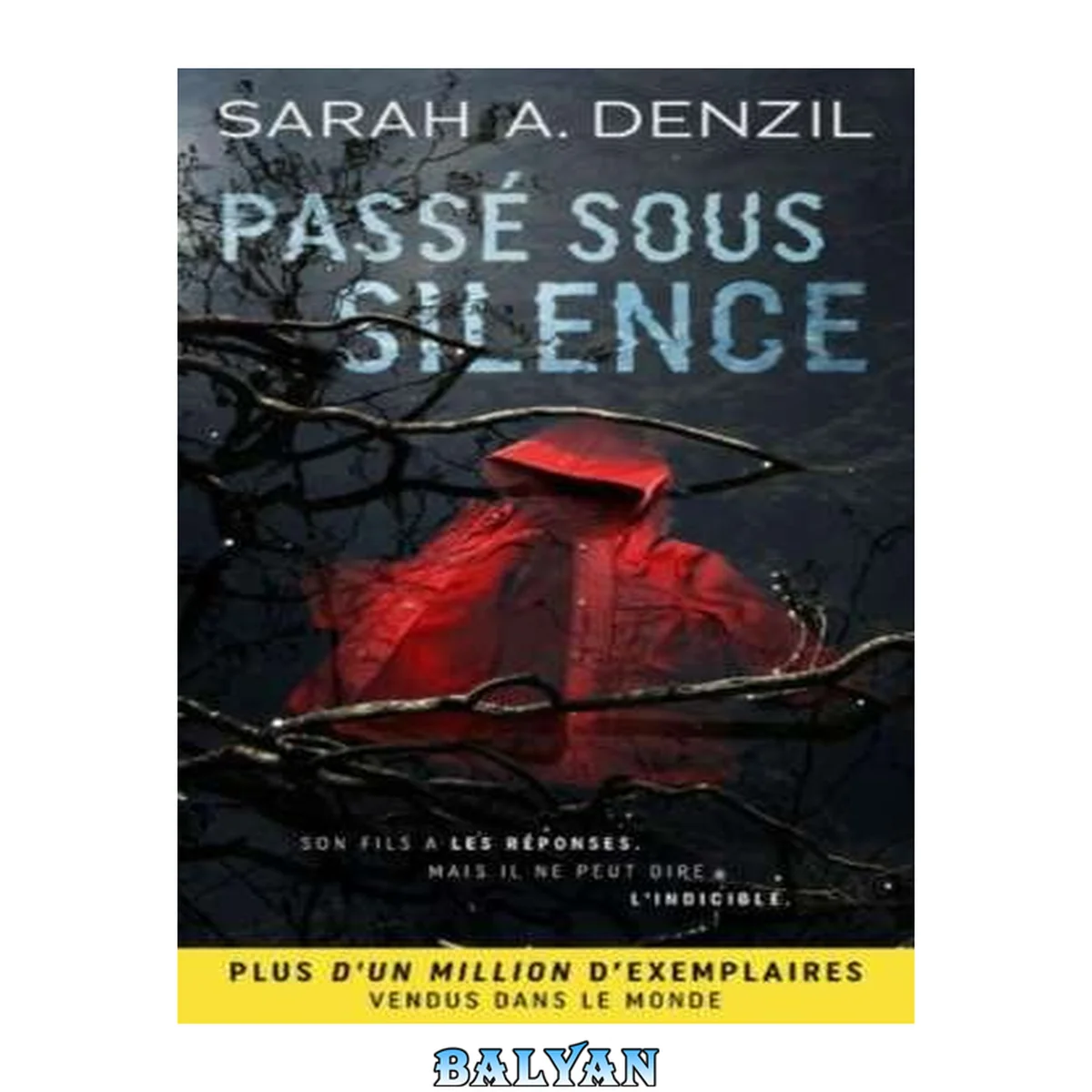 جلد کتاب Passé sous silence