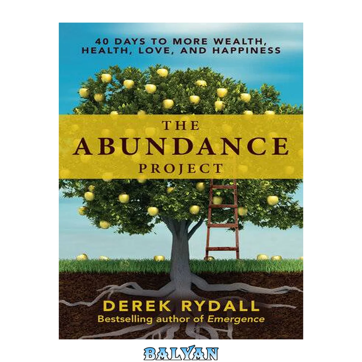 جلد کتاب The Abundance Project : 40 Days to More Wealth, Health, Love, and Happiness