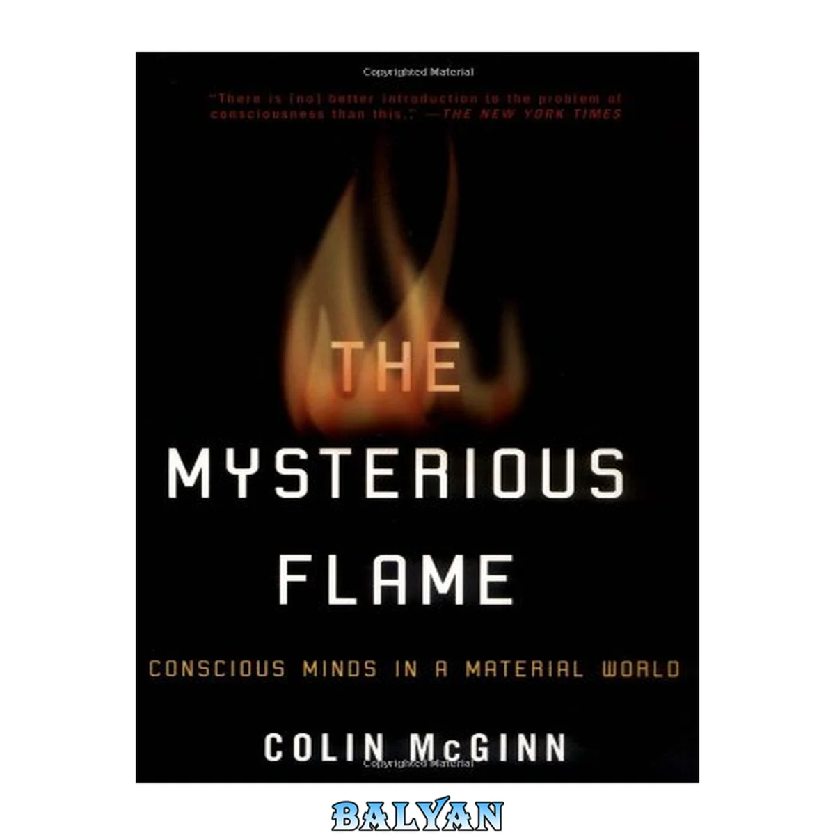 جلد کتاب The Mysterious Flame : Conscious Minds in a Material World