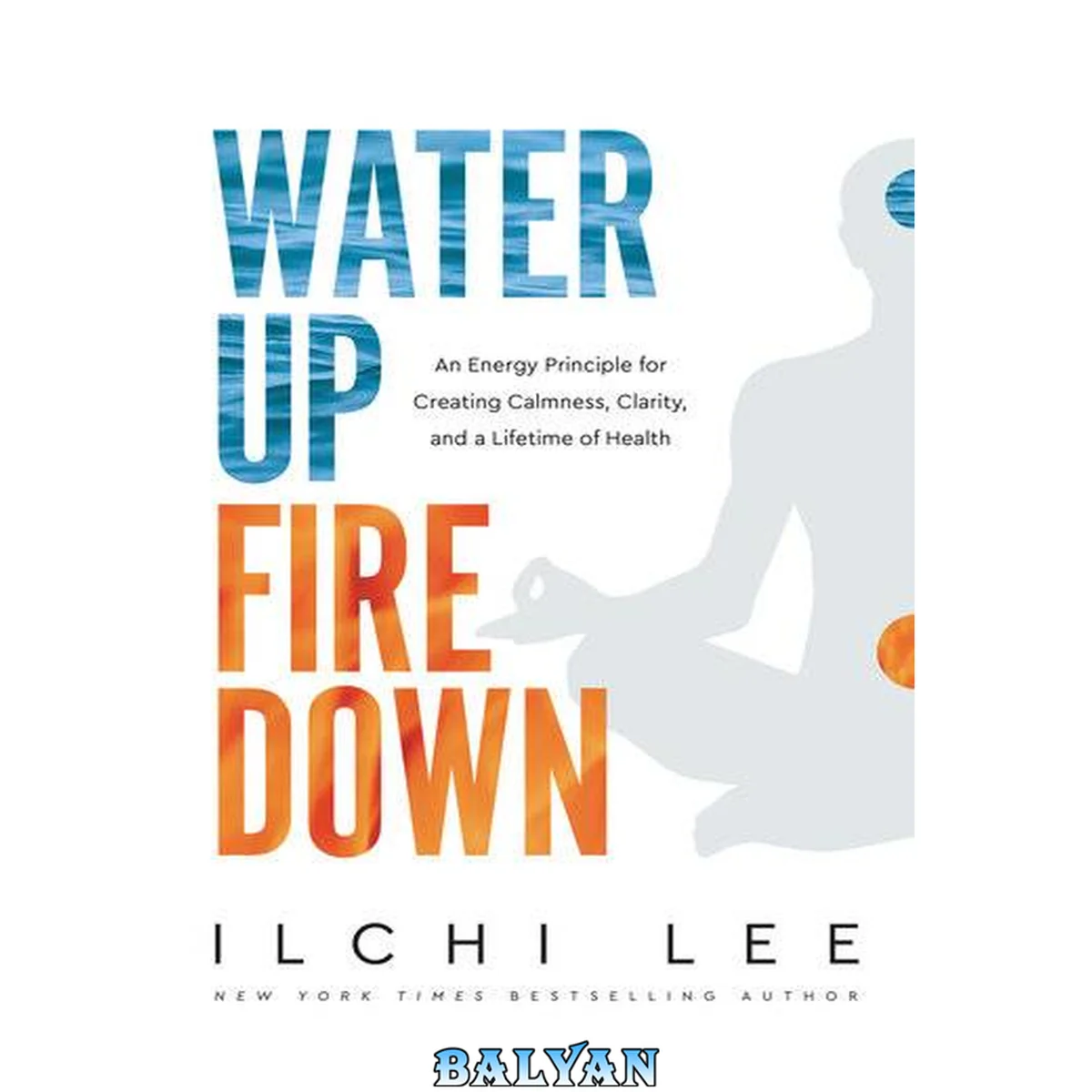 جلد کتاب Water up, fire down : an energy principle for creating calmness, clarity, and a lifetime of health