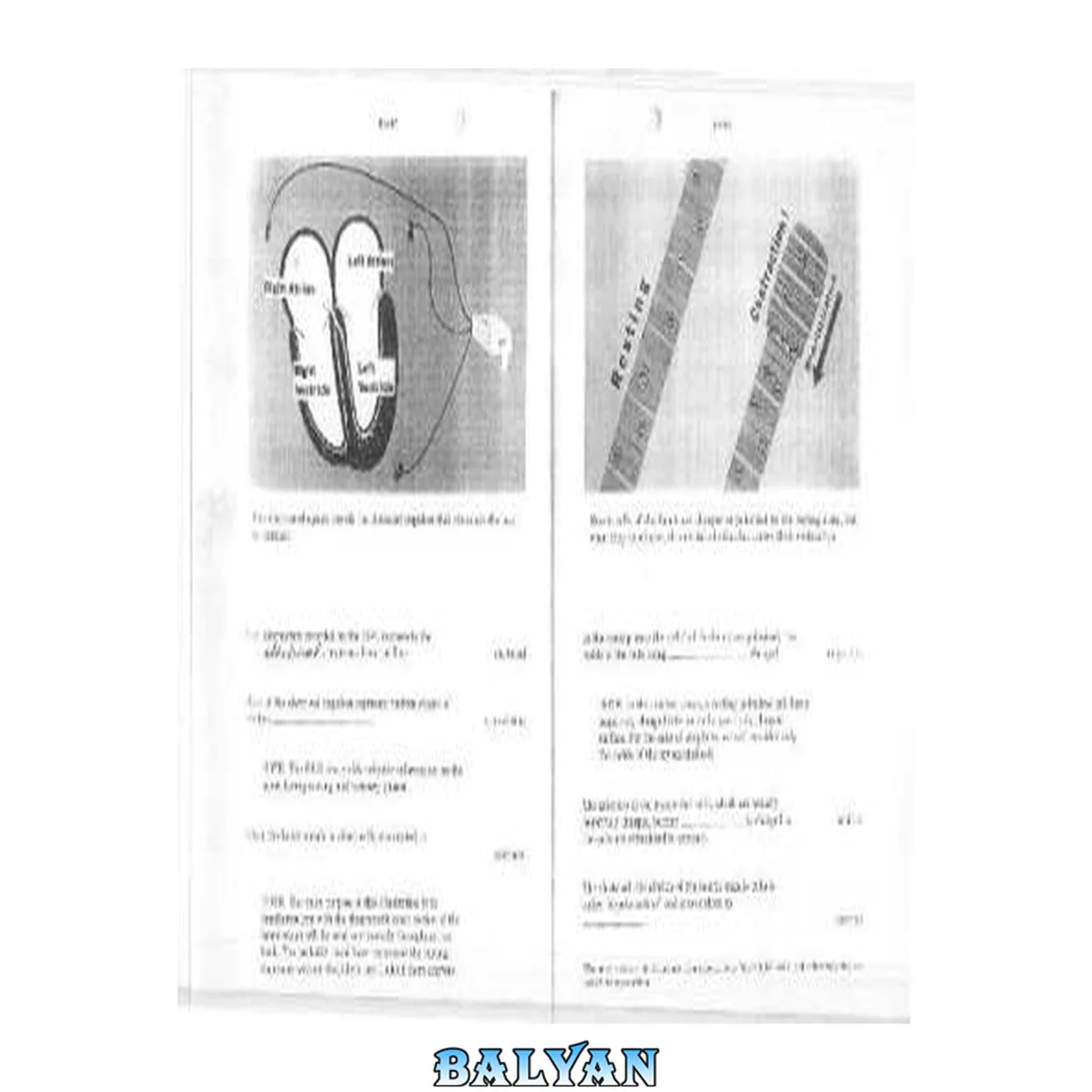 جلد کتاب Rapid Interpretation of EKG's