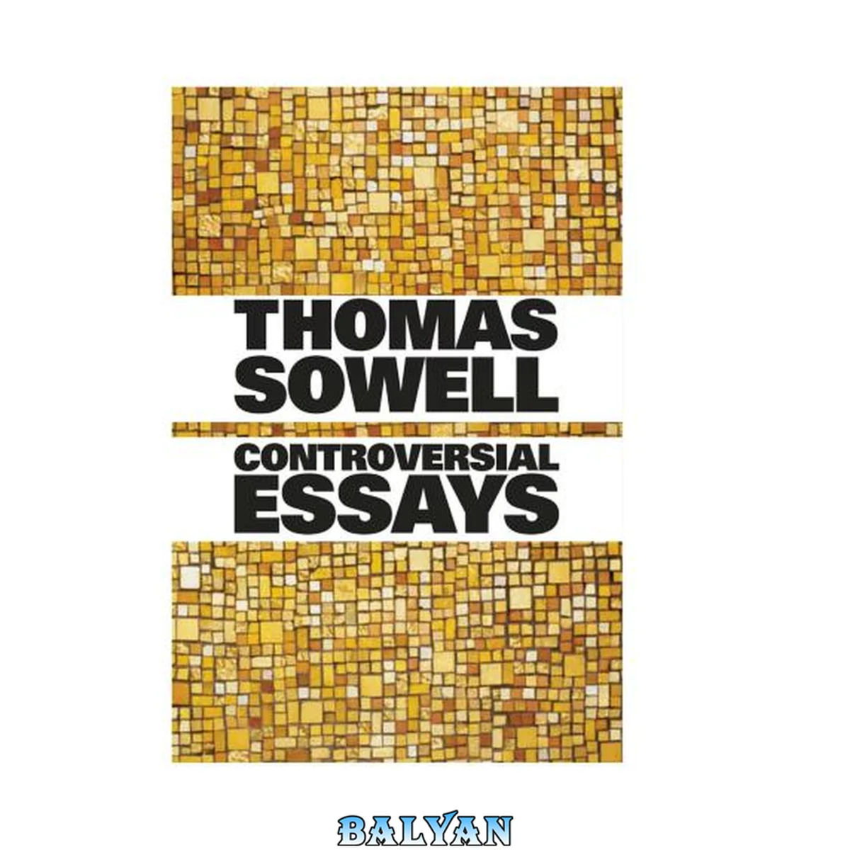 جلد کتاب Controversial Essays