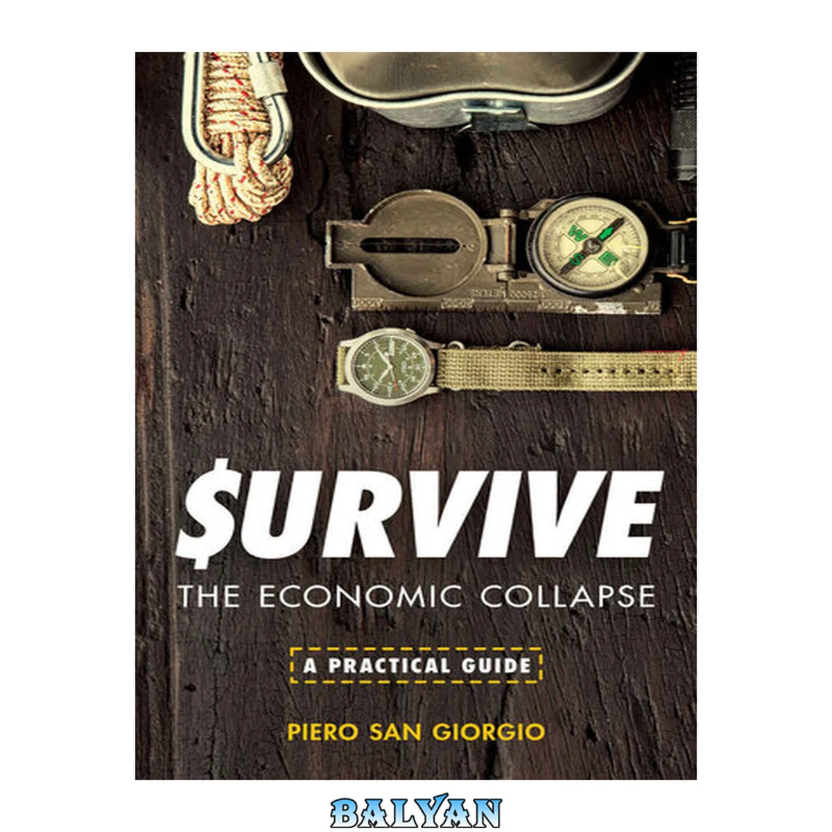 جلد کتاب Survive: The Economic Collapse