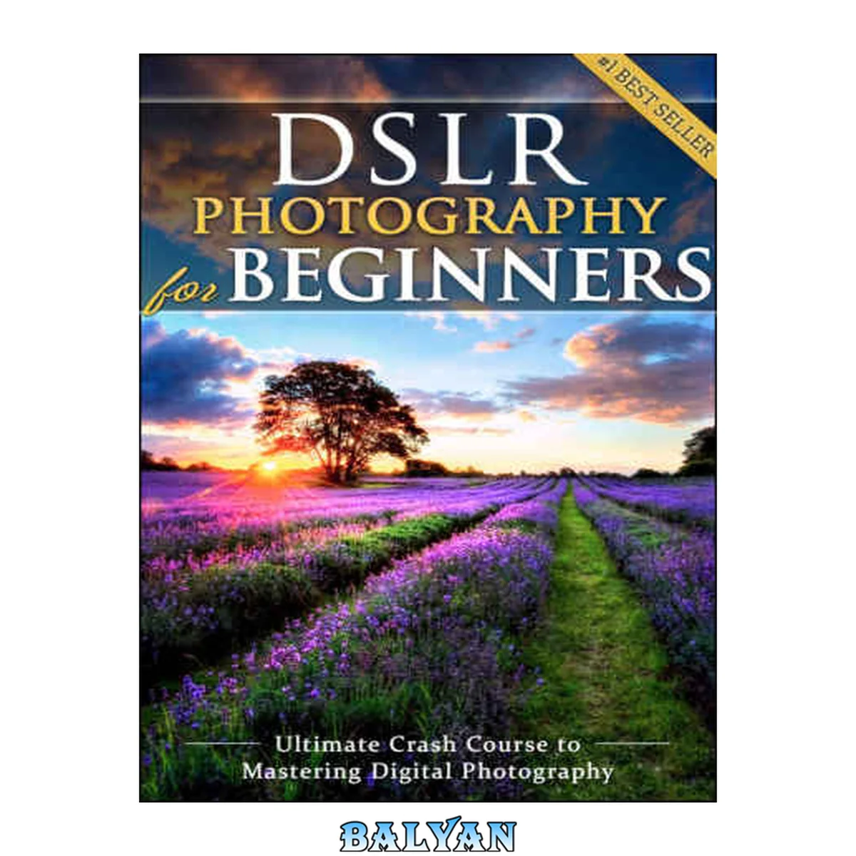 جلد کتاب DSLR Photography for Beginners: Take 10 Times Better Pictures in 48 Hours or Less! Best Way to Learn Digital Photography, Master Your DSLR Camera &amp; Improve Your Digital SLR Photography Skills
