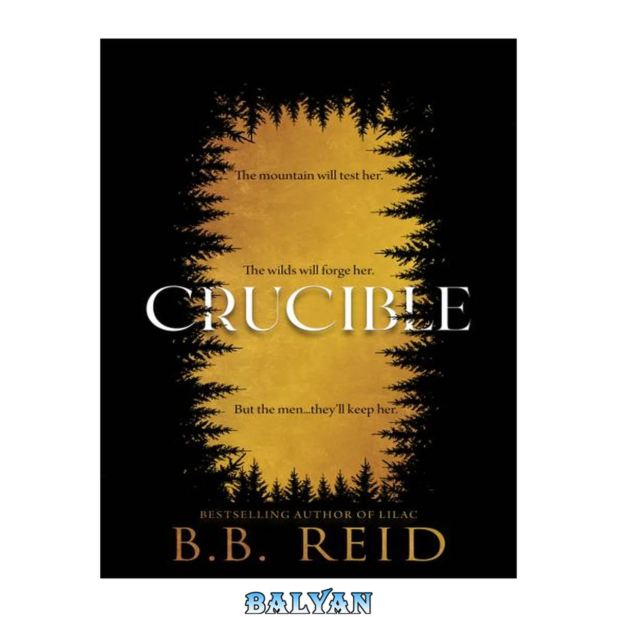 جلد کتاب Crucible: A Dark Enemies-to-Lovers Romance