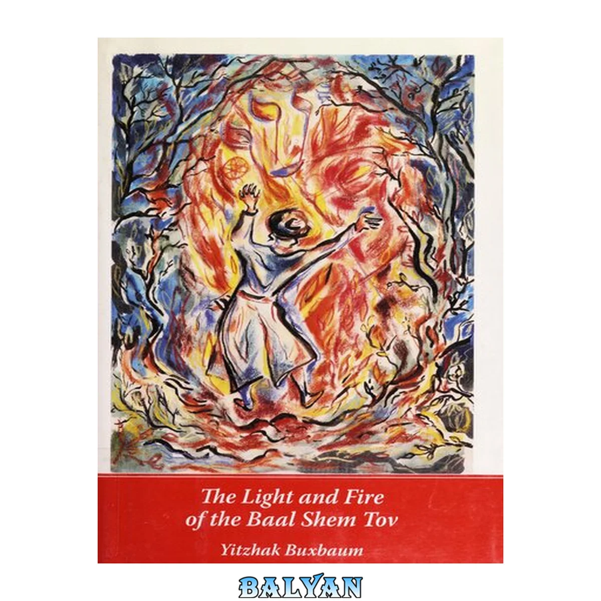 جلد کتاب The Light and Fire of the Baal Shem Tov