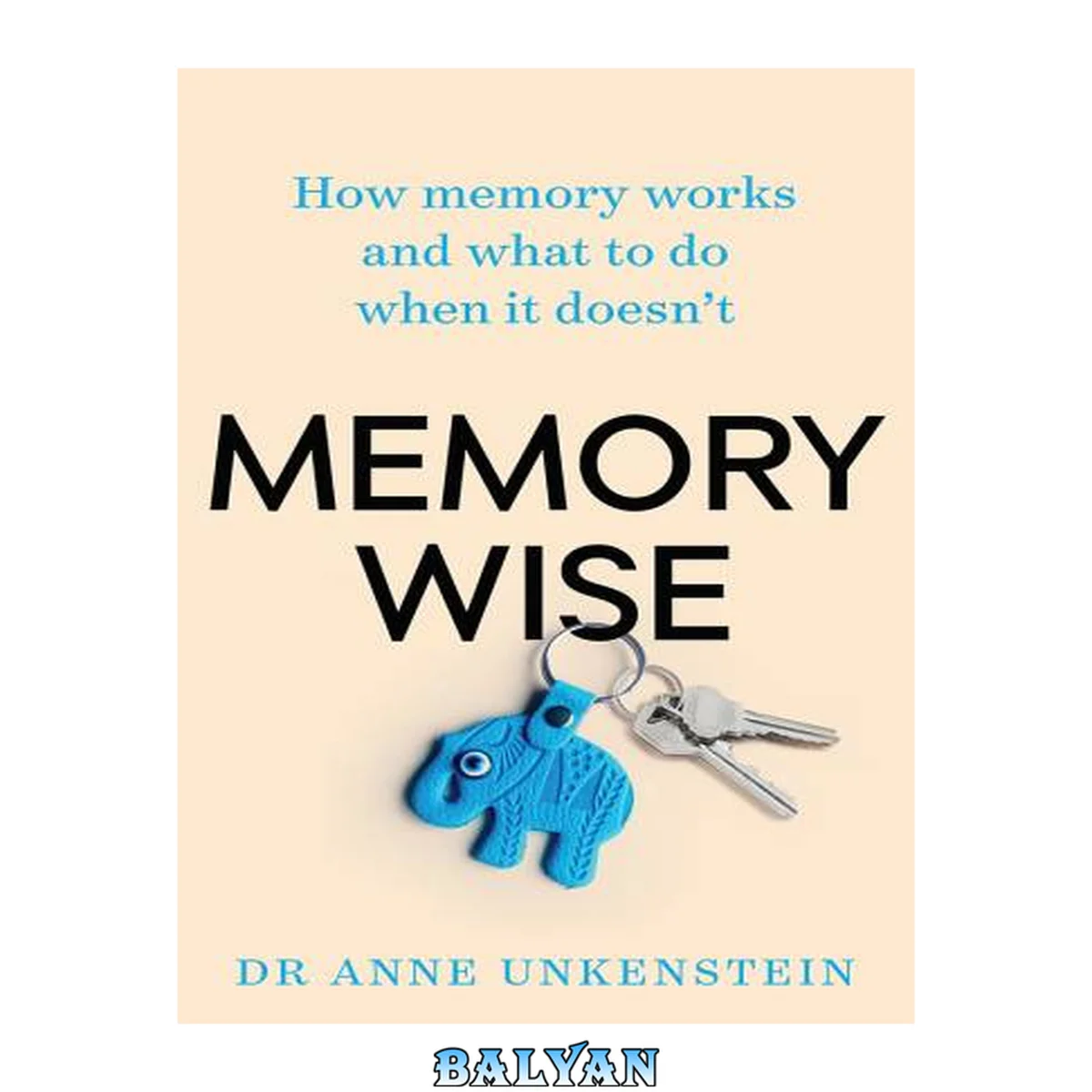 جلد کتاب Memory-wise : how memory works and what to do when it doesn't