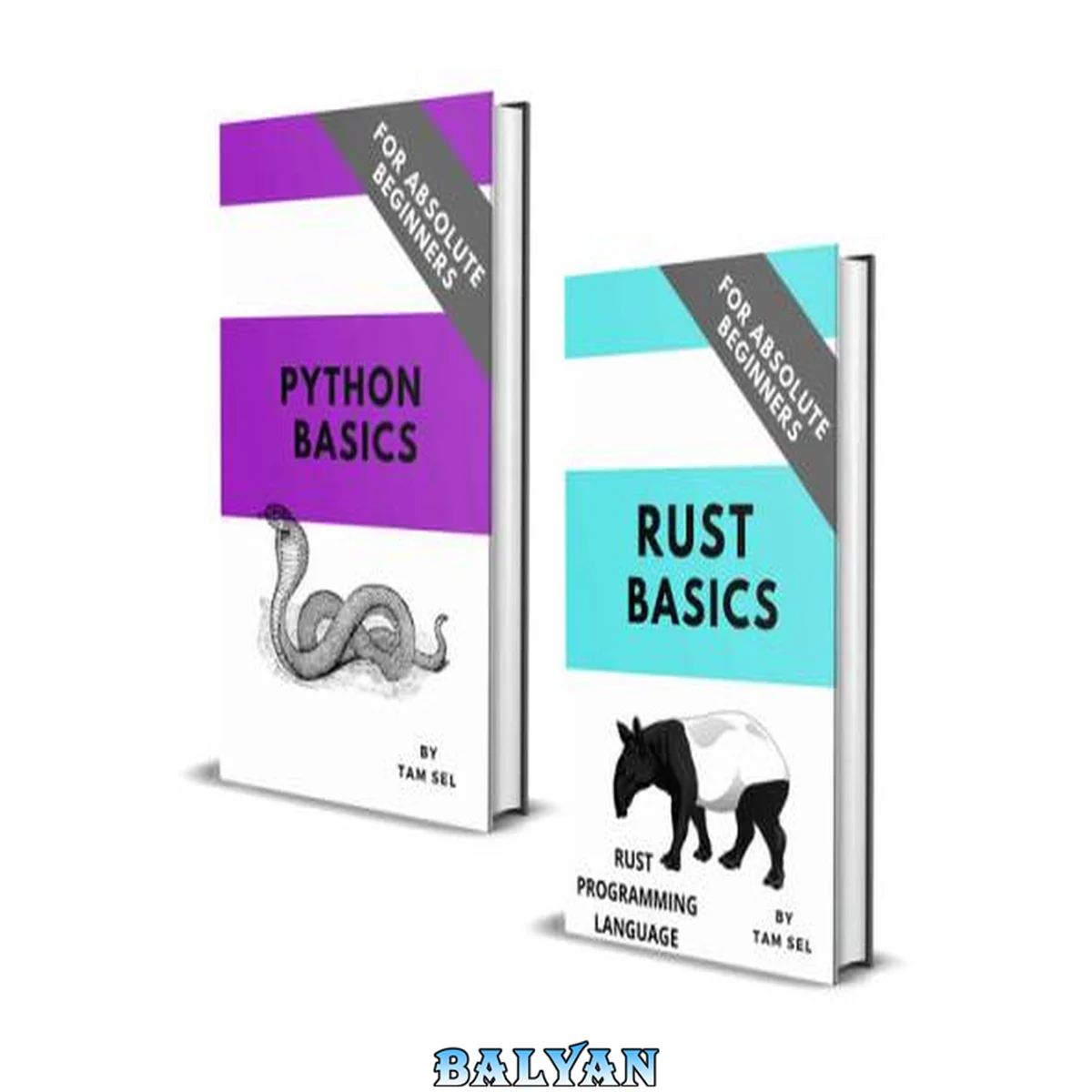 جلد کتاب Rust and Python Coding Basics: For Absolute Beginners