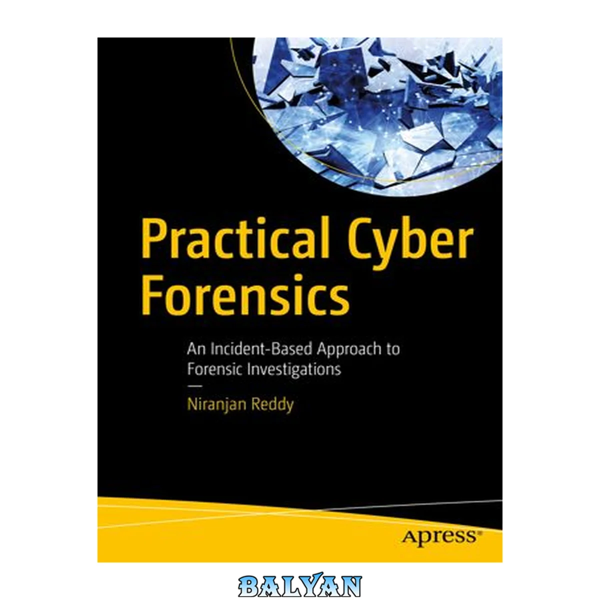 جلد کتاب Practical Cyber Forensics : An Incident-Based Approach to Forensic Investigations
