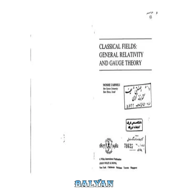 Classical Fields: General Gravity and Gauge Theory