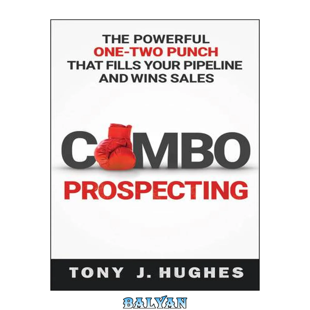 جلد کتاب a Combo Prospecting: The Powerful One-Two Punch That Fills Your Pipeline and Wins Sales