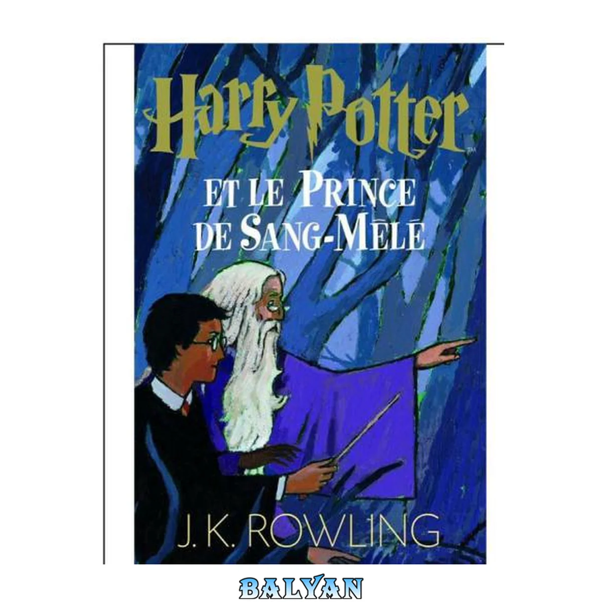 جلد کتاب Harry Potter Et Le Prince De Sang Mele