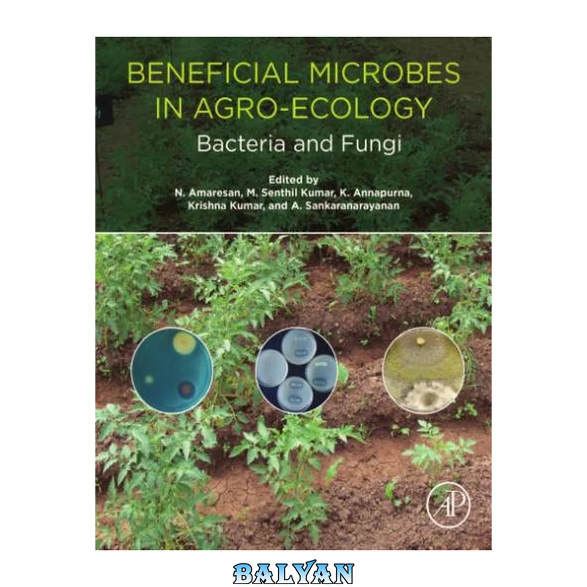 جلد کتاب Beneficial microbes in agro-ecology. Bacteria and fungi