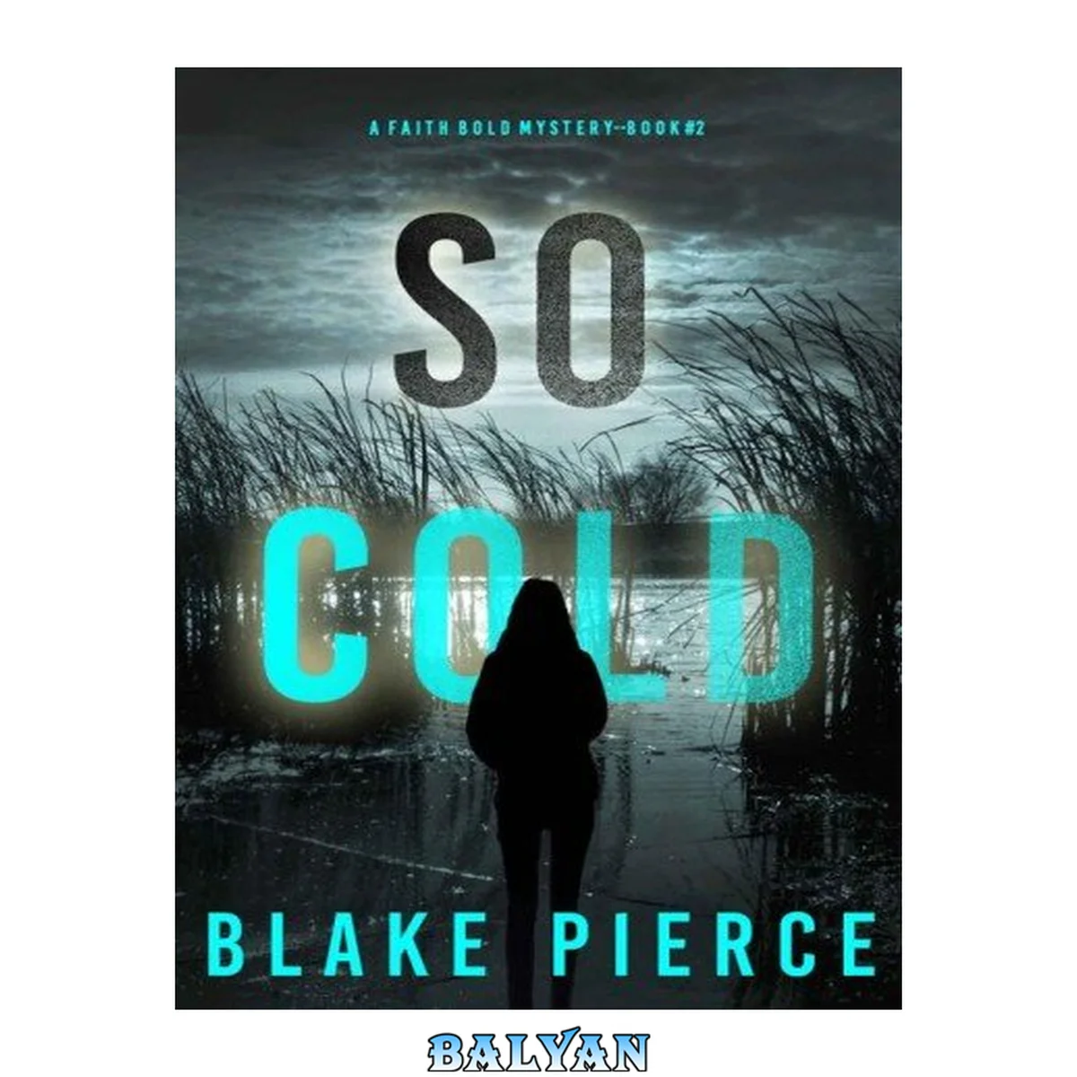 جلد کتاب So Cold