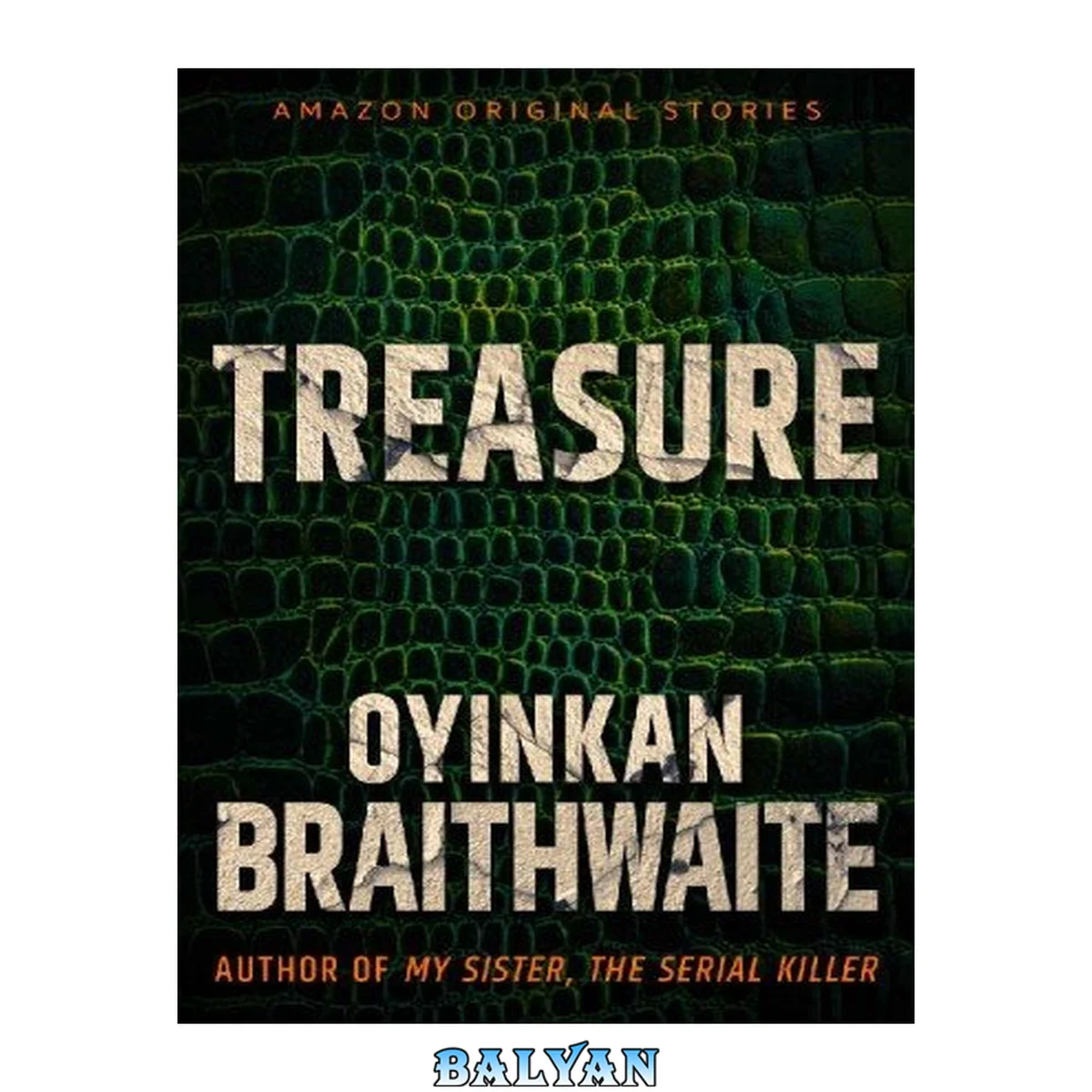 جلد کتاب Treasure