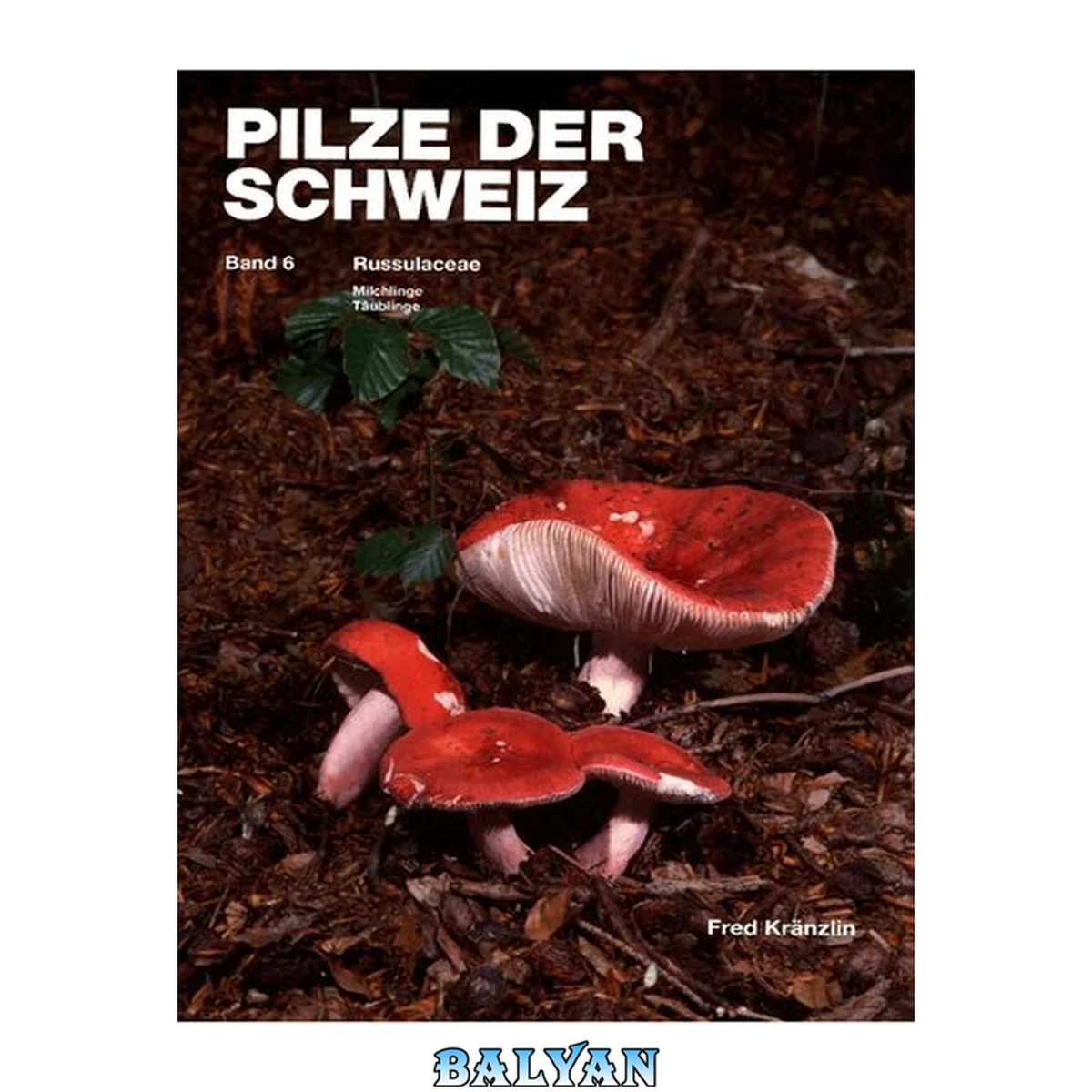 جلد کتاب Pilze der Schweiz - Band 6 - Russulaceae, Milchlinge, Täubling