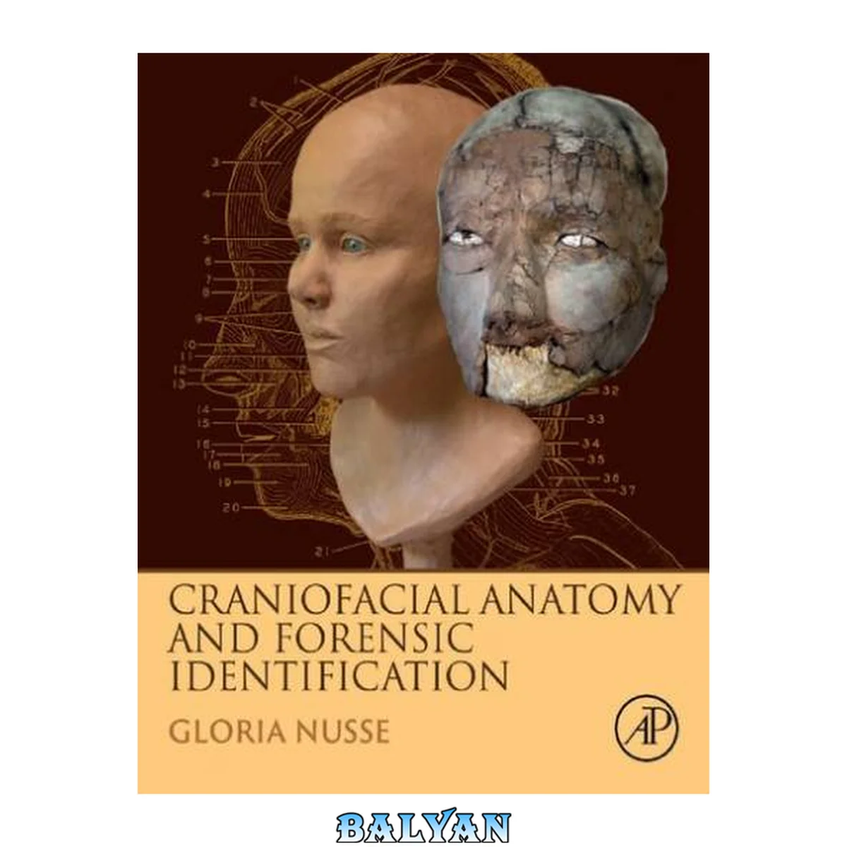 جلد کتاب Craniofacial Anatomy and Forensic Identification