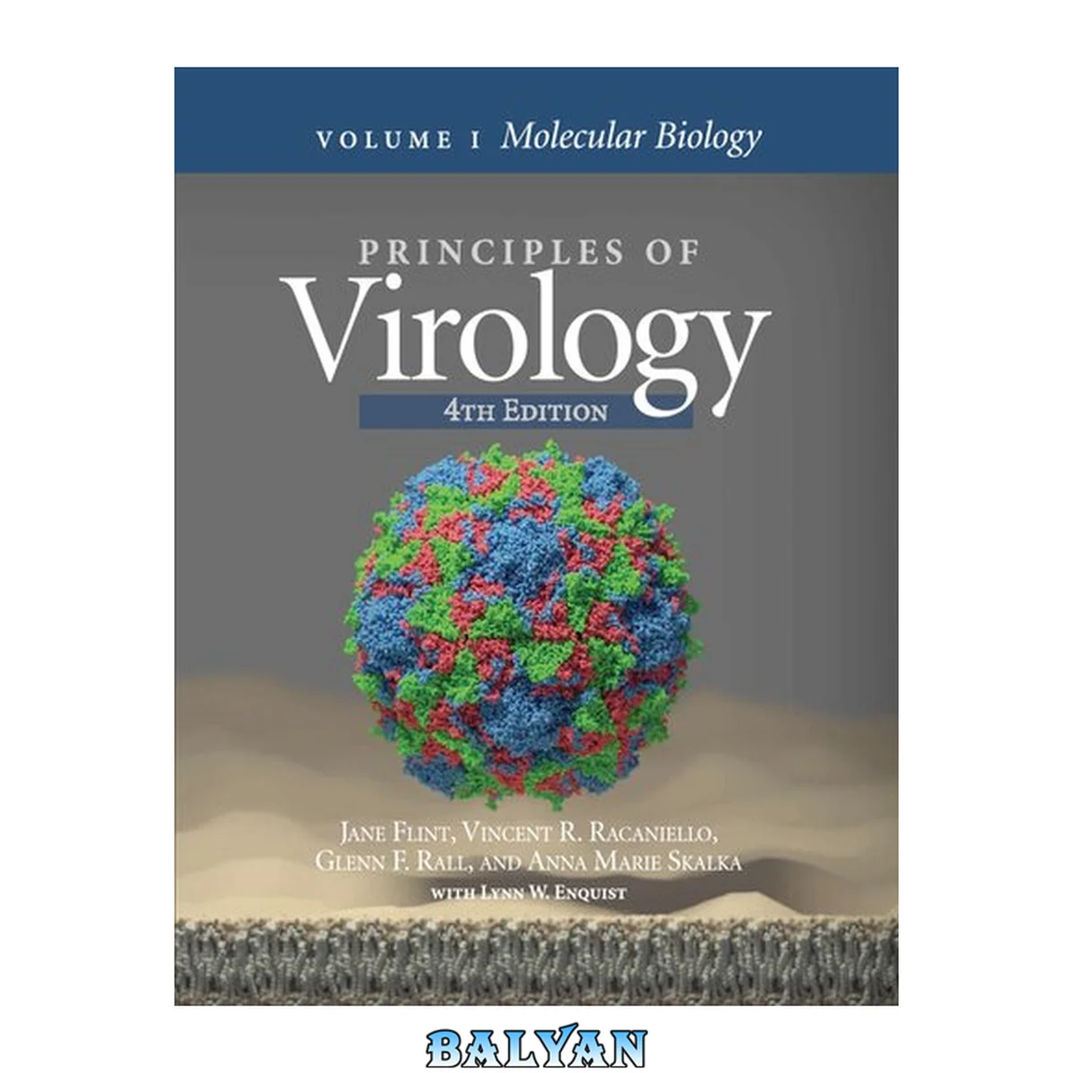 جلد کتاب Principles of virology Volume I. Molecular Biology