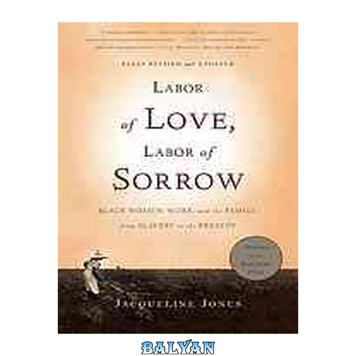 جلد کتاب Labor of love, labor of sorrow : black women, work and the family, from slavery to the present