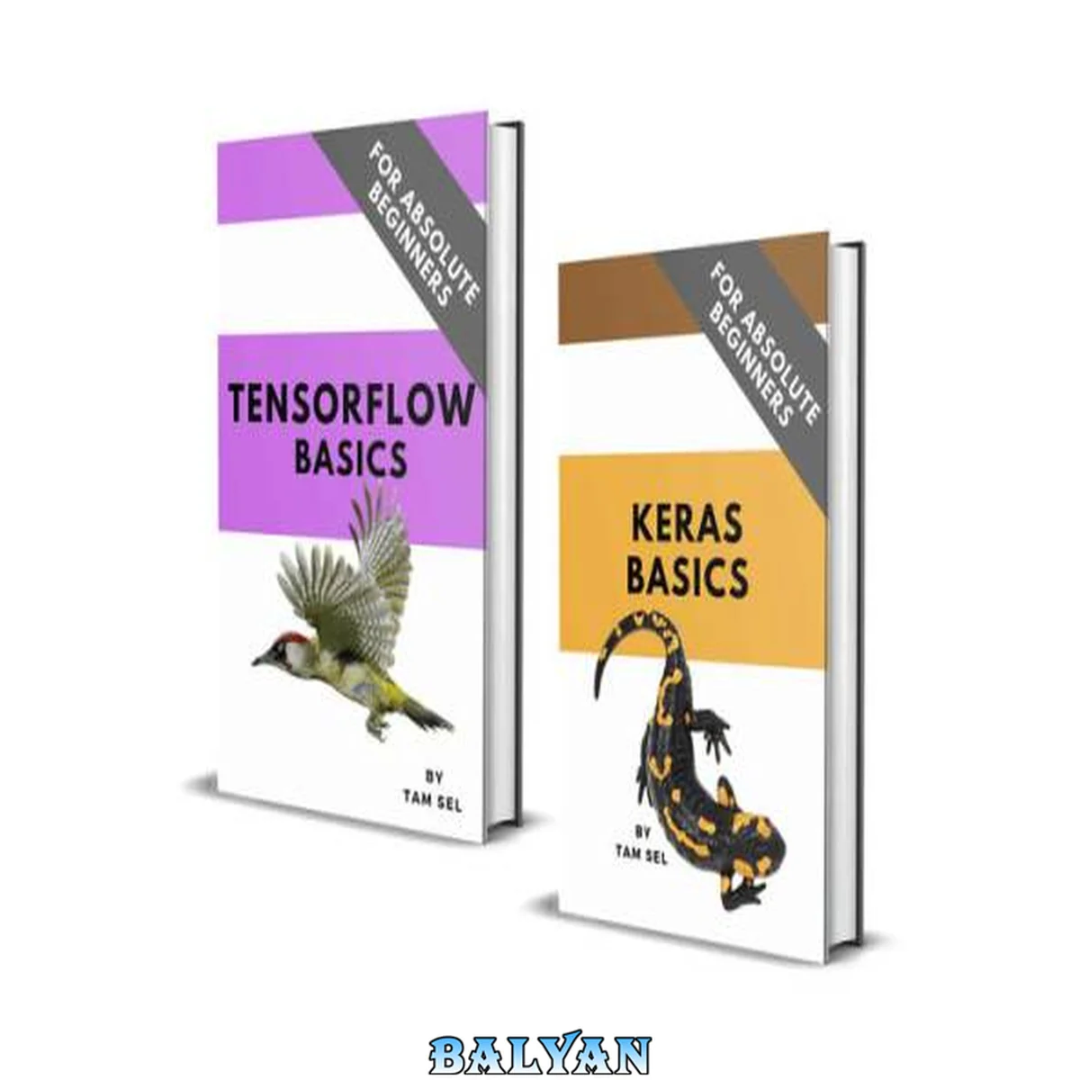 جلد کتاب KERAS AND TENSORFLOW CODING BASICS: FOR ABSOLUTE BEGINNERS