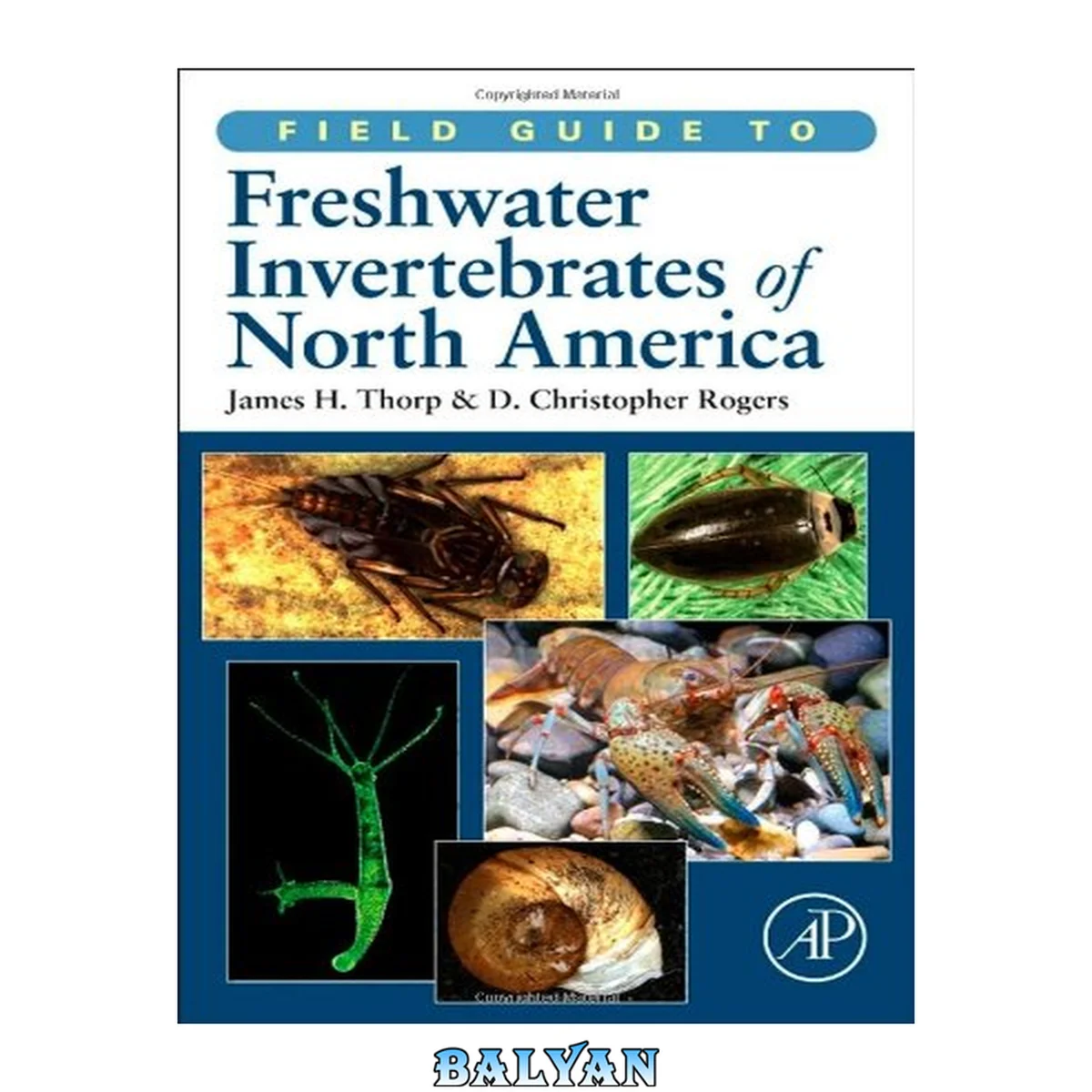 جلد کتاب Field Guide to Freshwater Invertebrates of North America (Field Guide To... (Academic Press))