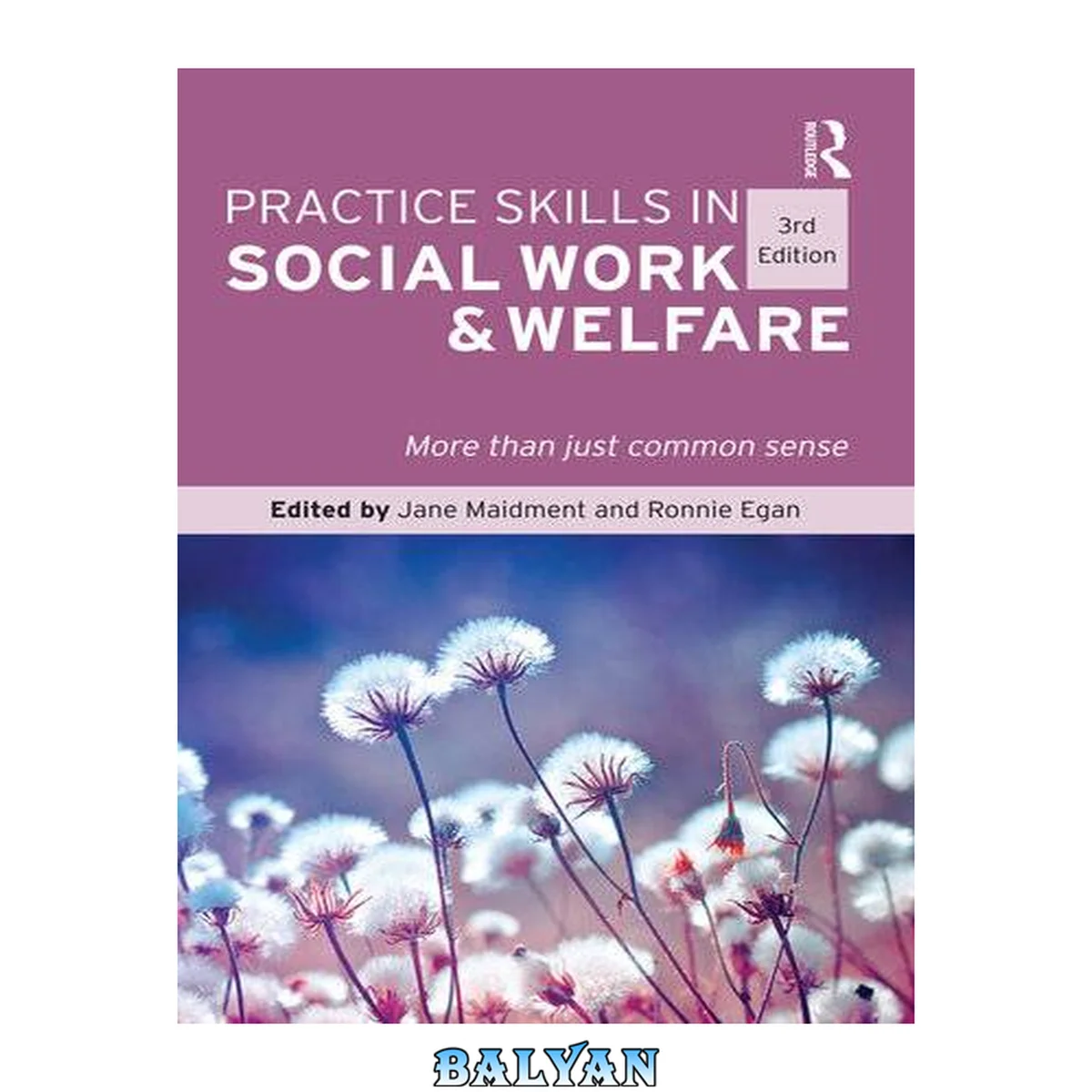 جلد کتاب Practice Skills in Social Work and Welfare : More than just common sense