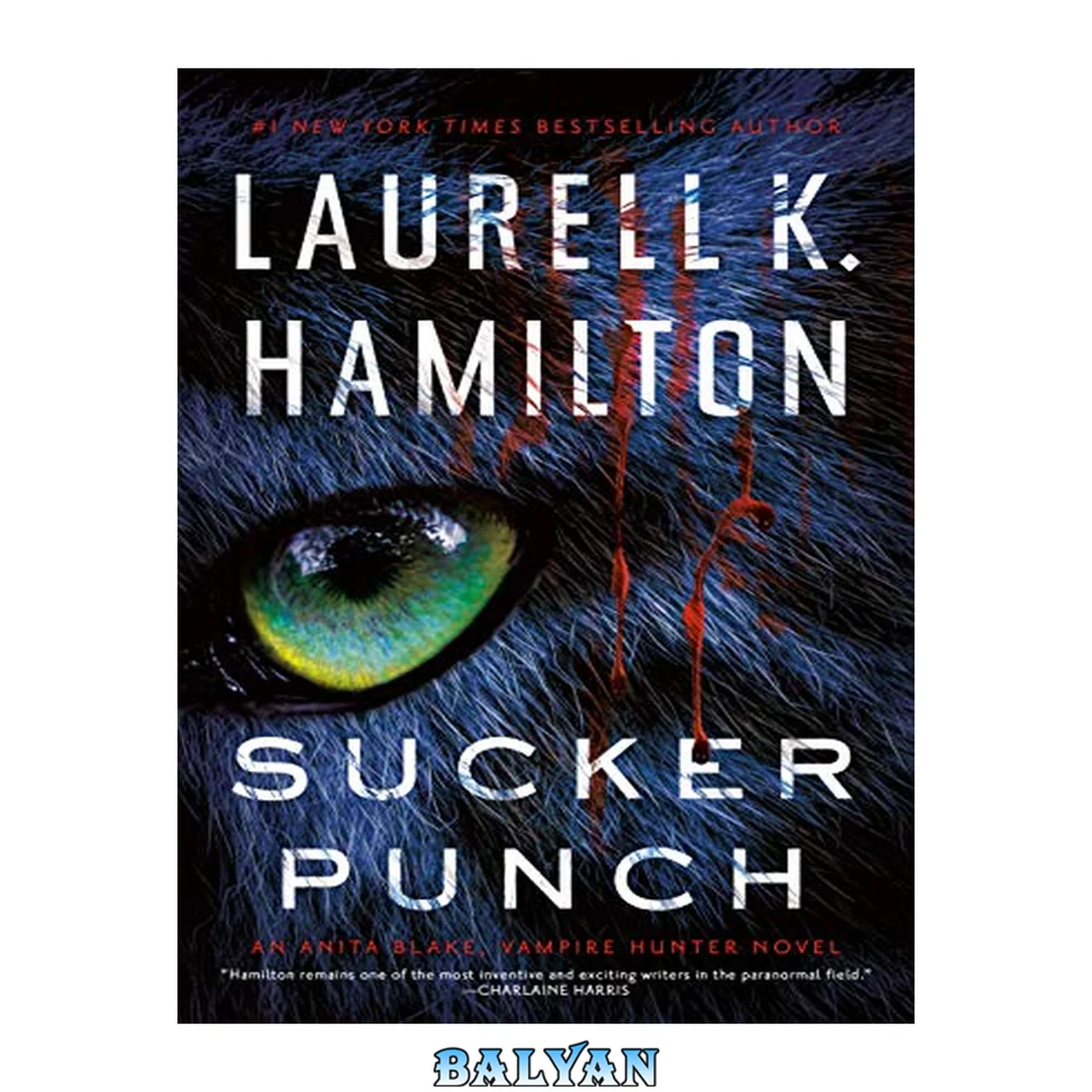جلد کتاب Sucker Punch (Anita Blake, Vampire Hunter Book 27)