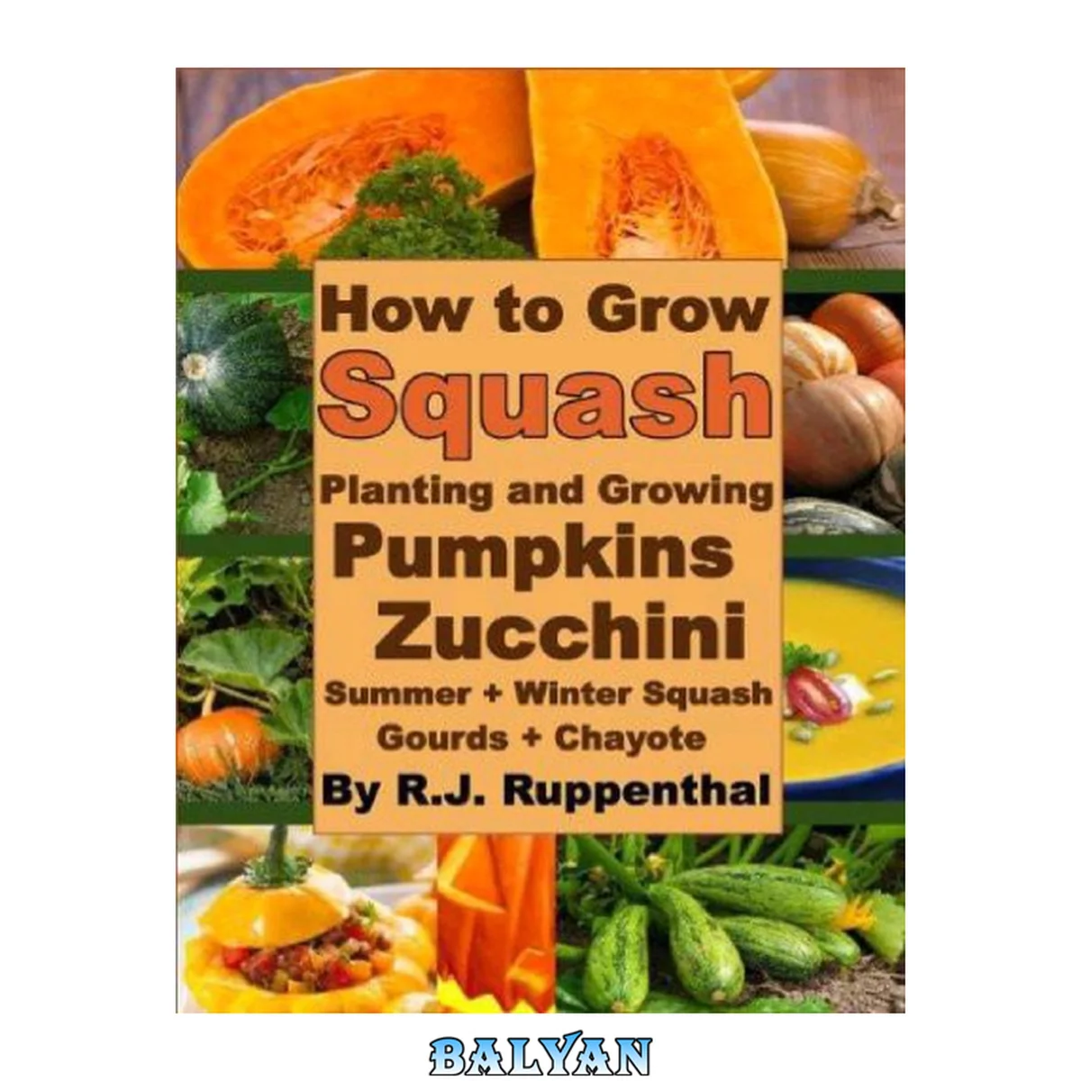 جلد کتاب How to Grow Squash: Planting and Growing Pumpkins, Zucchini, Summer and Winter Squash, Gourds, and Chayote