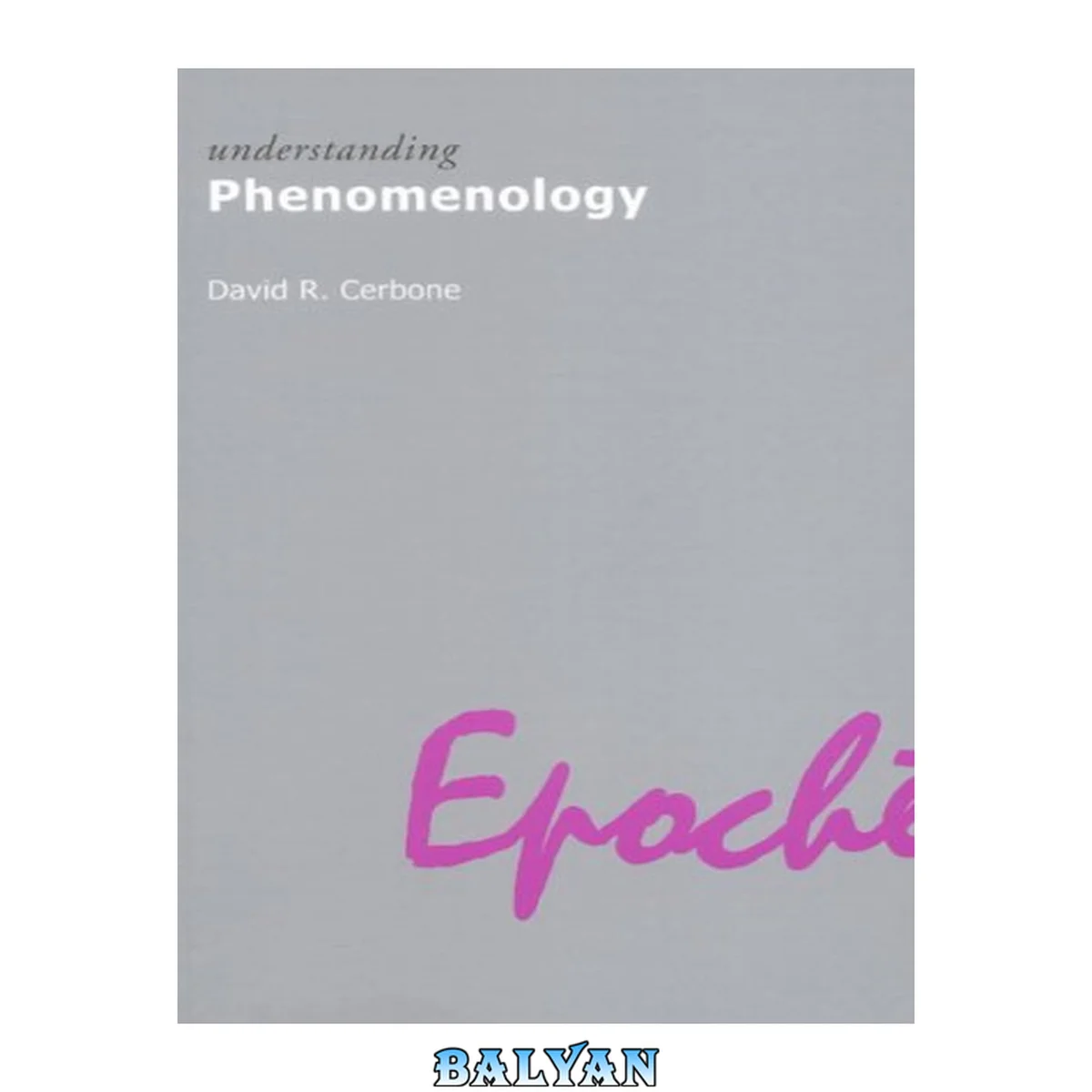 جلد کتاب Understanding Phenomenology (Understanding Movements in Modern Thought)