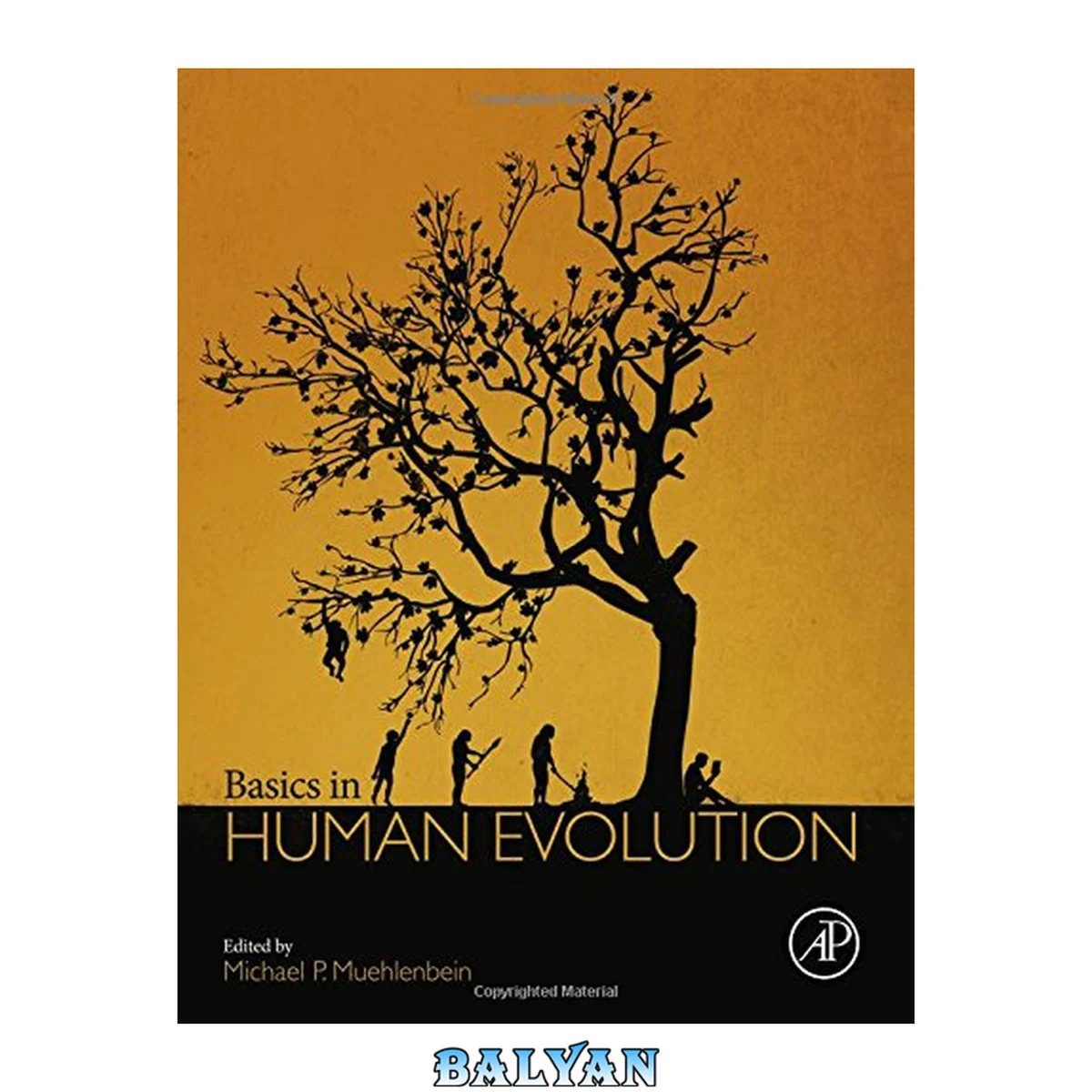 جلد کتاب Basics in Human Evolution