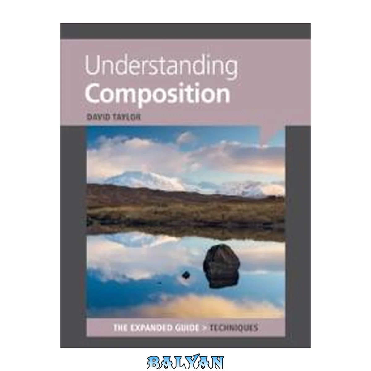 جلد کتاب Understanding Composition (Expanded Guides - Techniques)