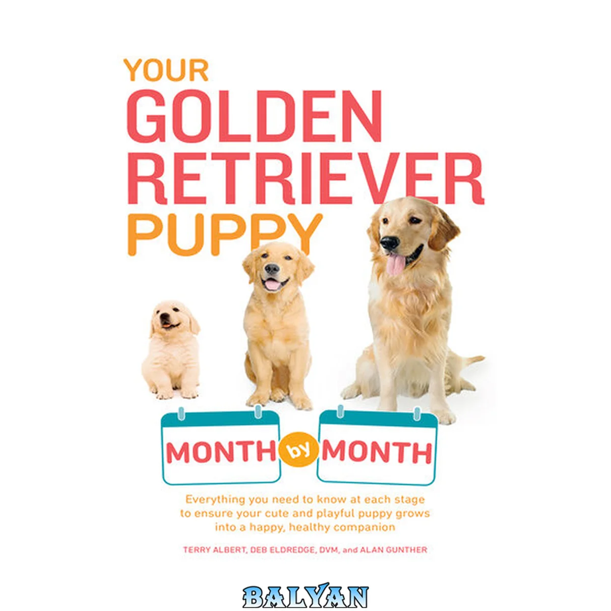 جلد کتاب Your Golden Retriever Puppy Month by Month: Everything You Need to Know at Each Stage to Ensure Your Cute and Playful Puppy Grows into a Happy, Healthy Companion